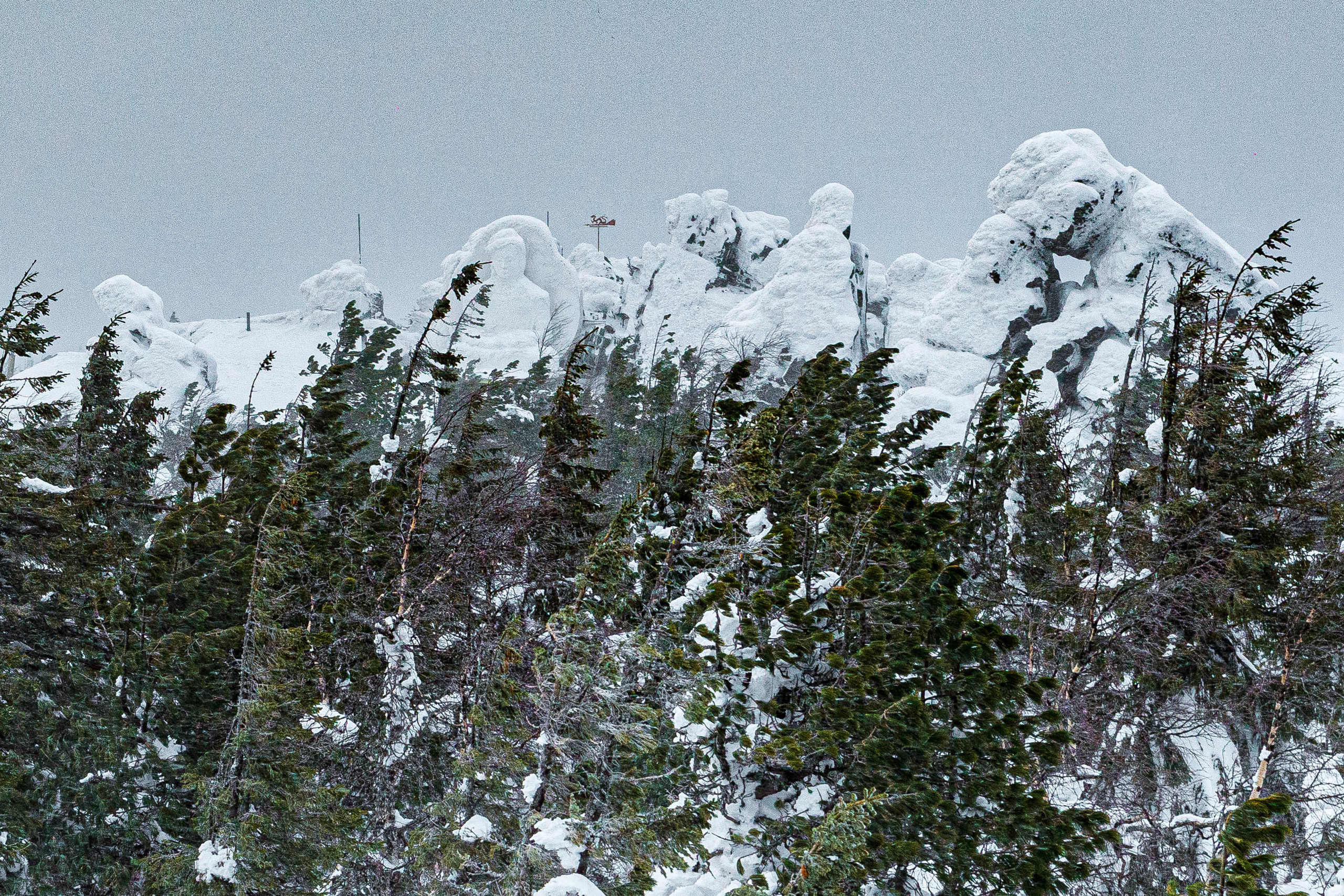 Качканар 07.03.2020. Свадебный фотограф на Урале Виктор Соколов
