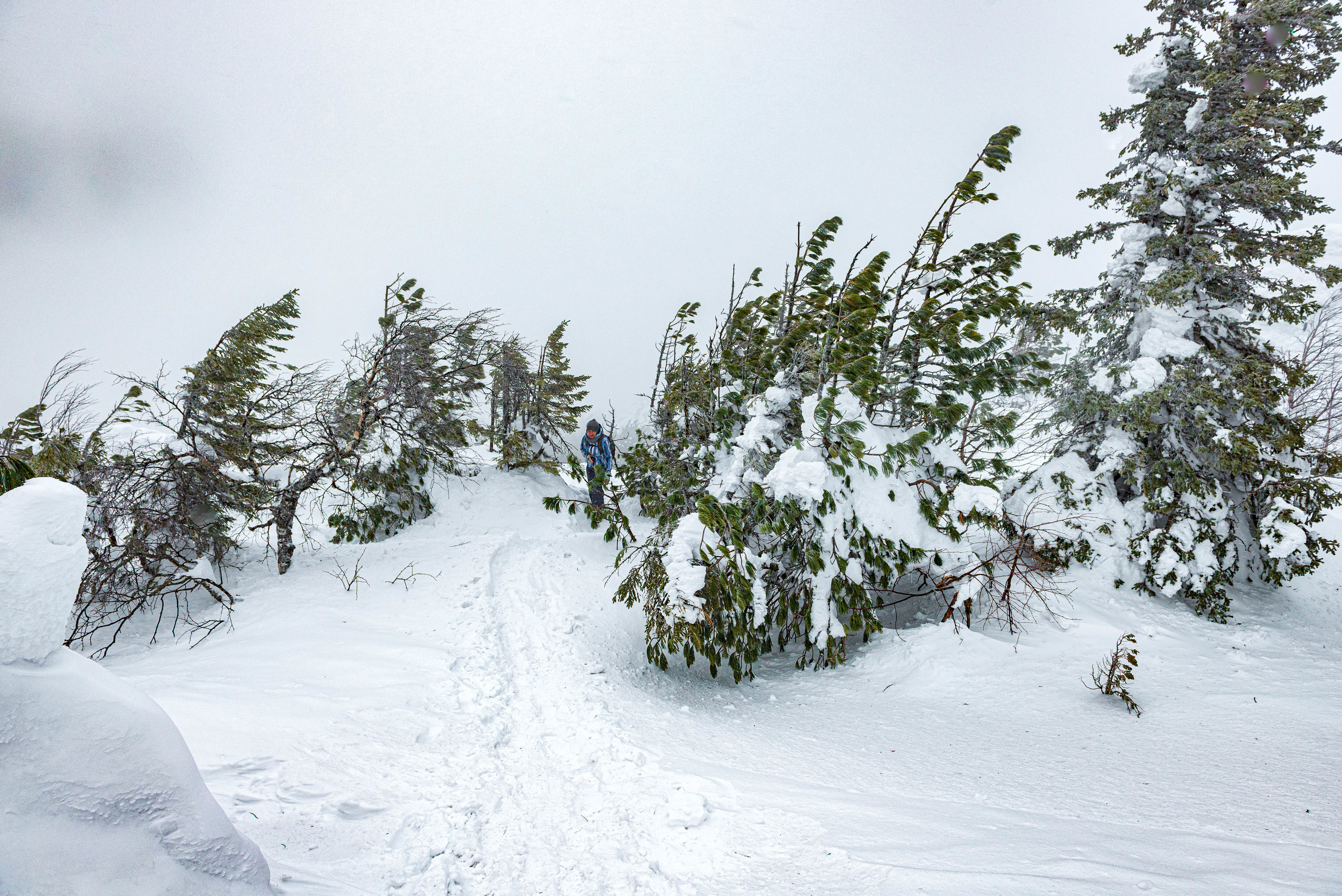 Качканар 07.03.2020. Свадебный фотограф на Урале Виктор Соколов