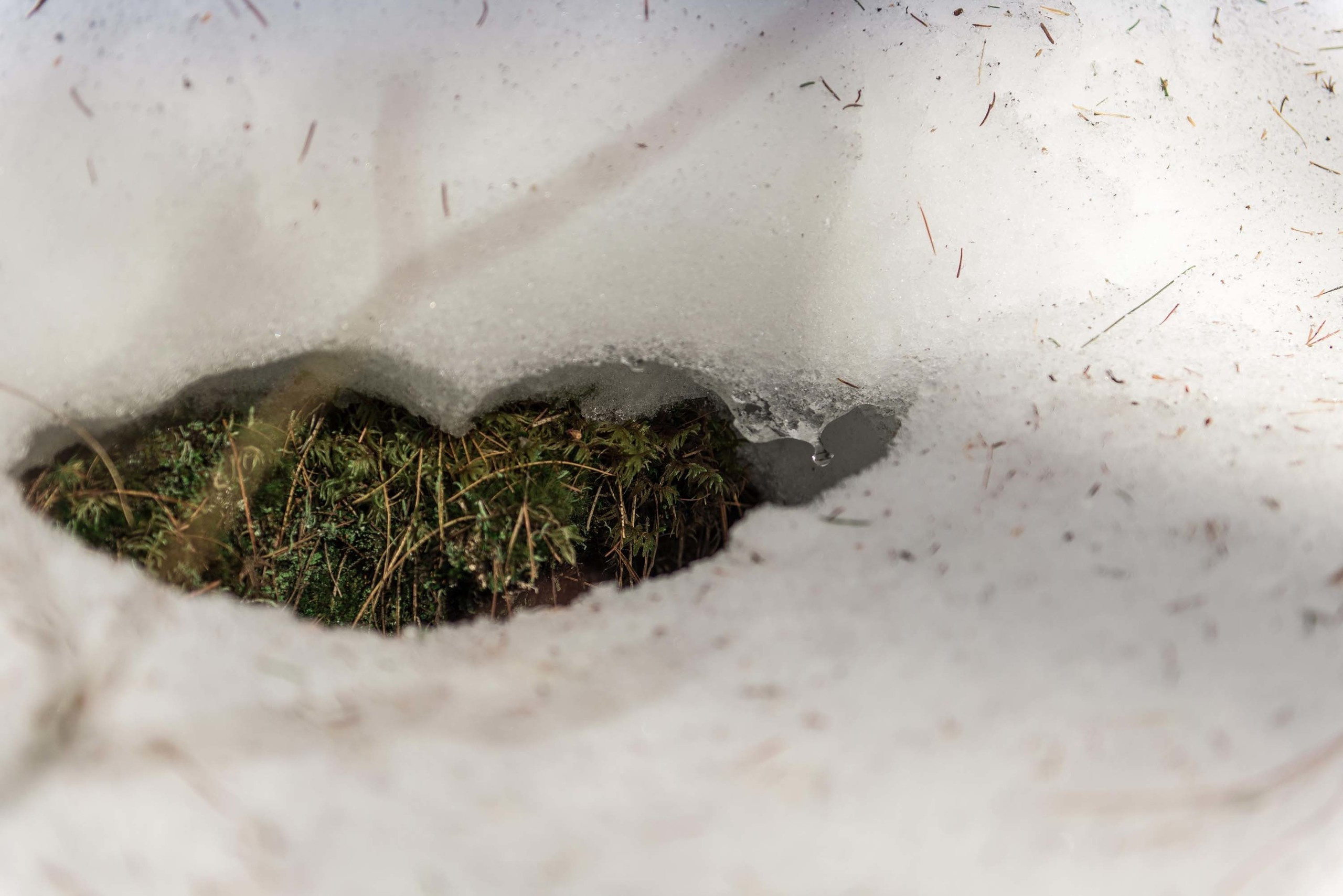 Качканар 06.04.2019. Свадебный фотограф на Урале Виктор Соколов