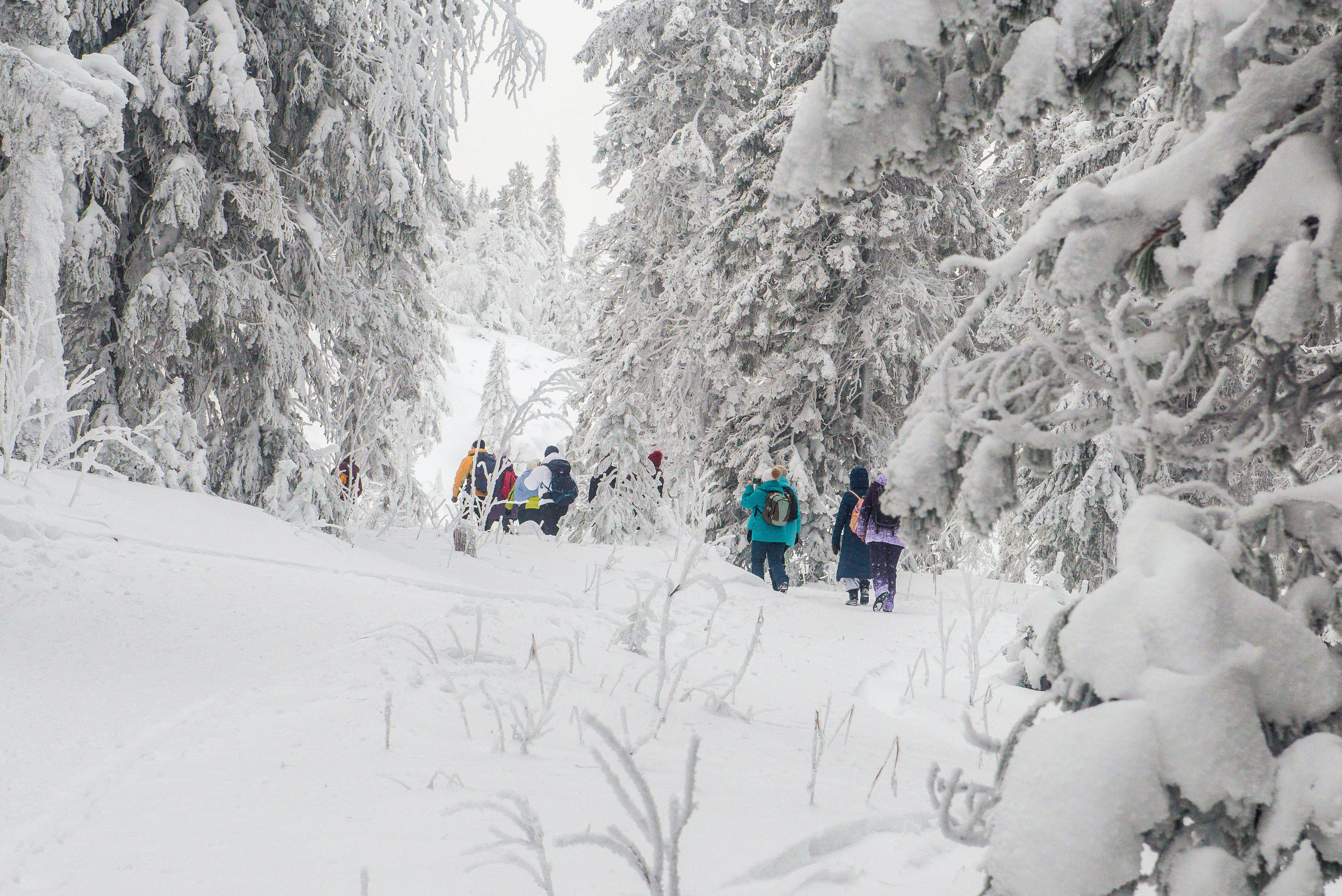 Качканар 06.01.2020. Свадебный фотограф на Урале Виктор Соколов