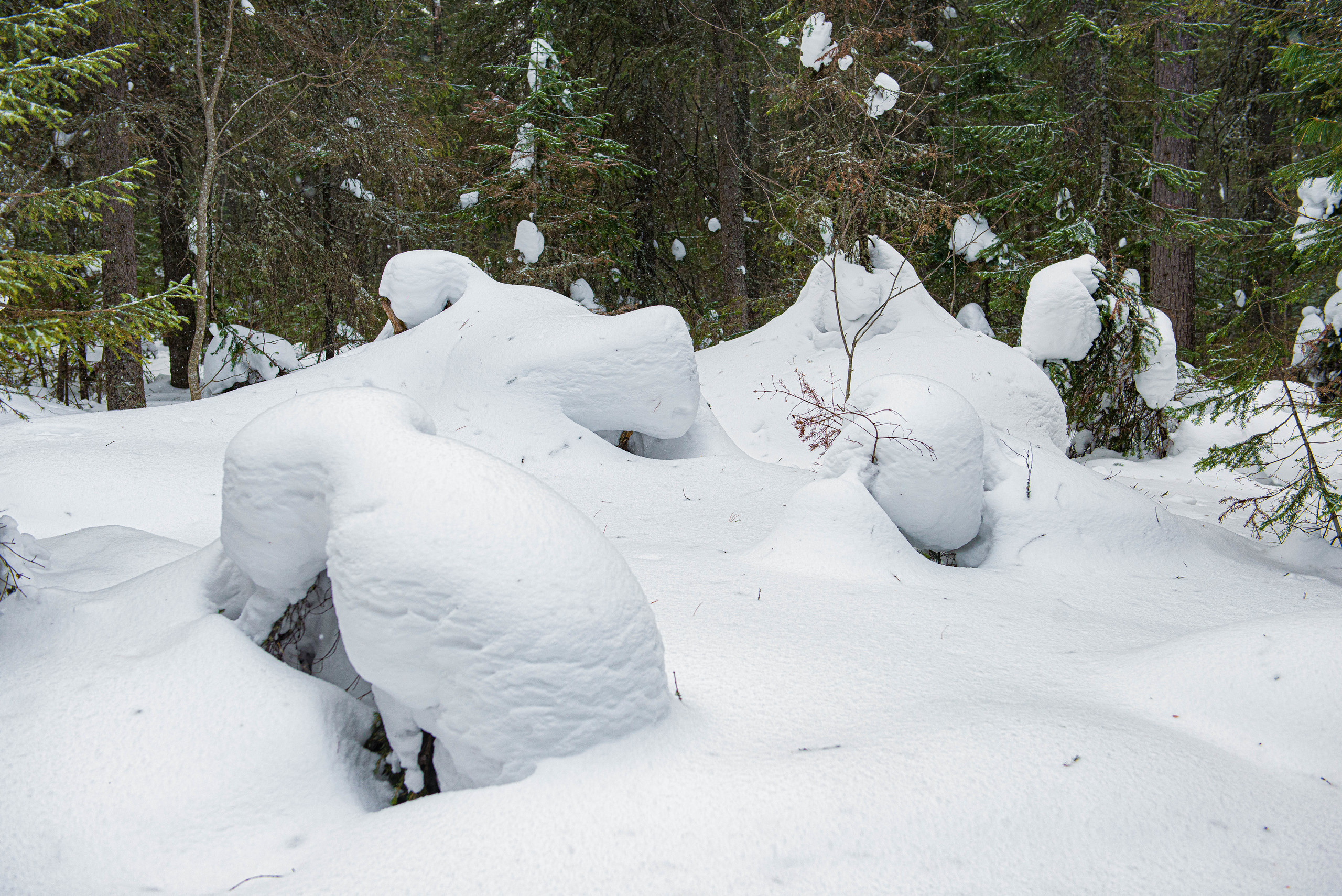 Качканар 07.03.2020. Свадебный фотограф на Урале Виктор Соколов