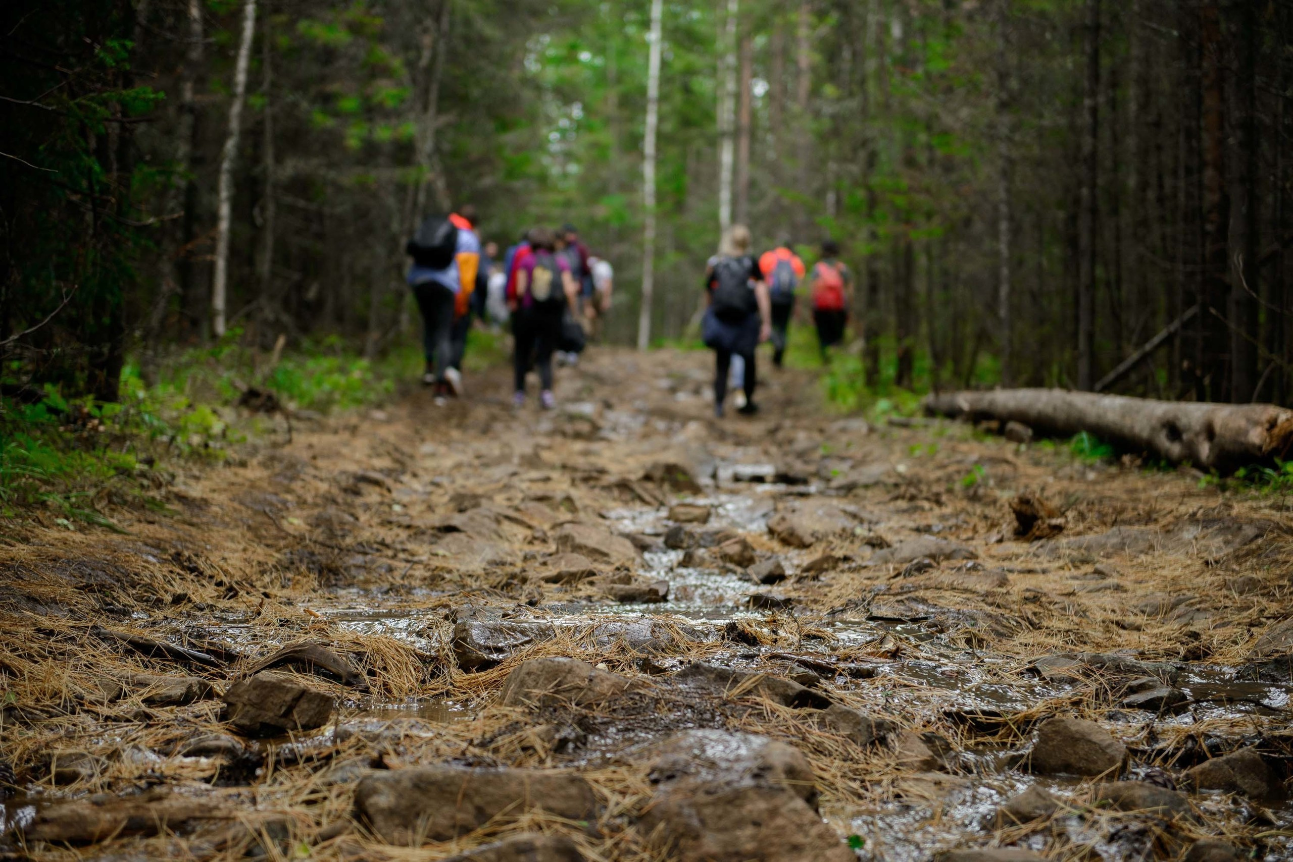 Качканар 24.08.2019. Свадебный фотограф на Урале Виктор Соколов