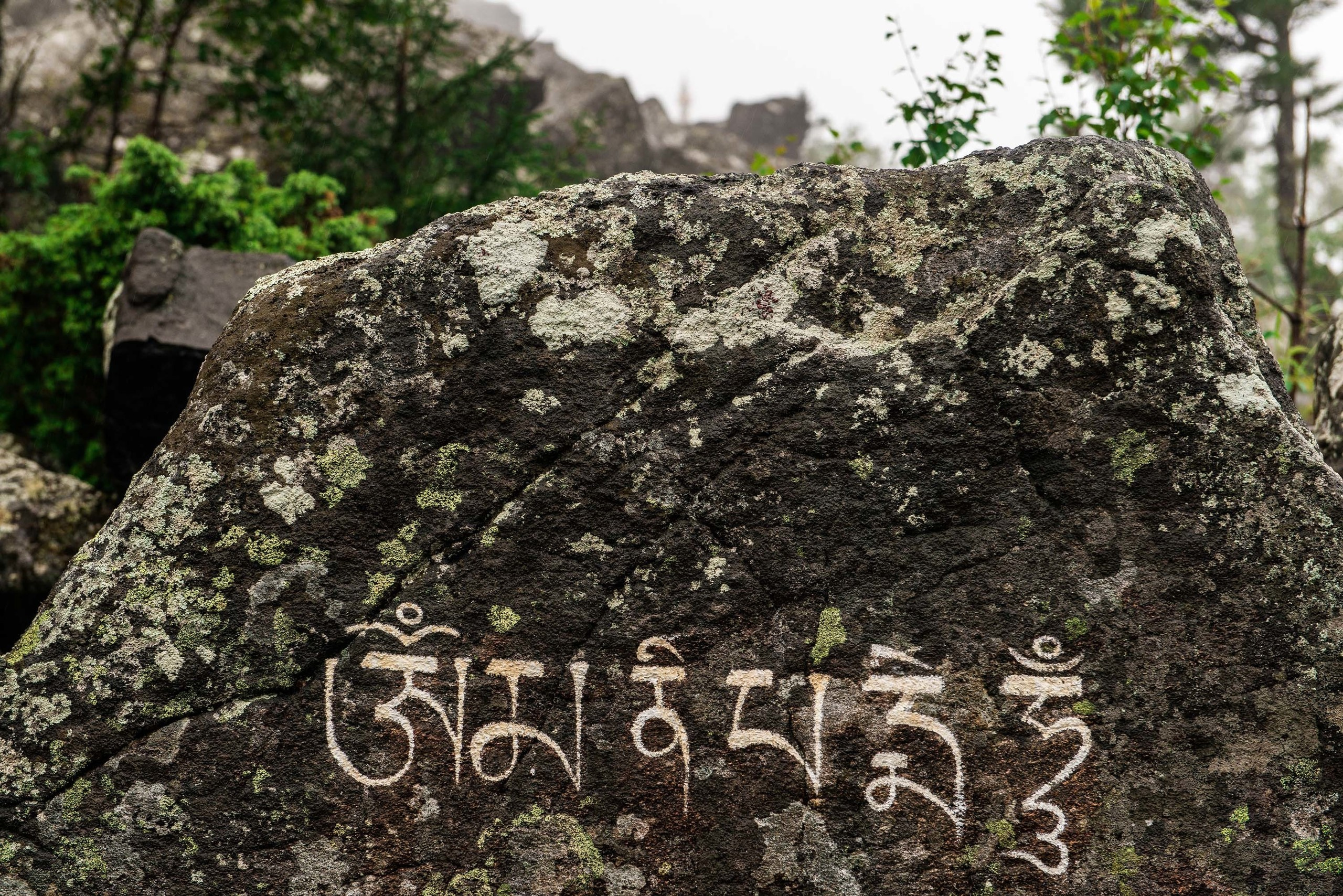 Качканар 03.08.2019. Свадебный фотограф на Урале Виктор Соколов