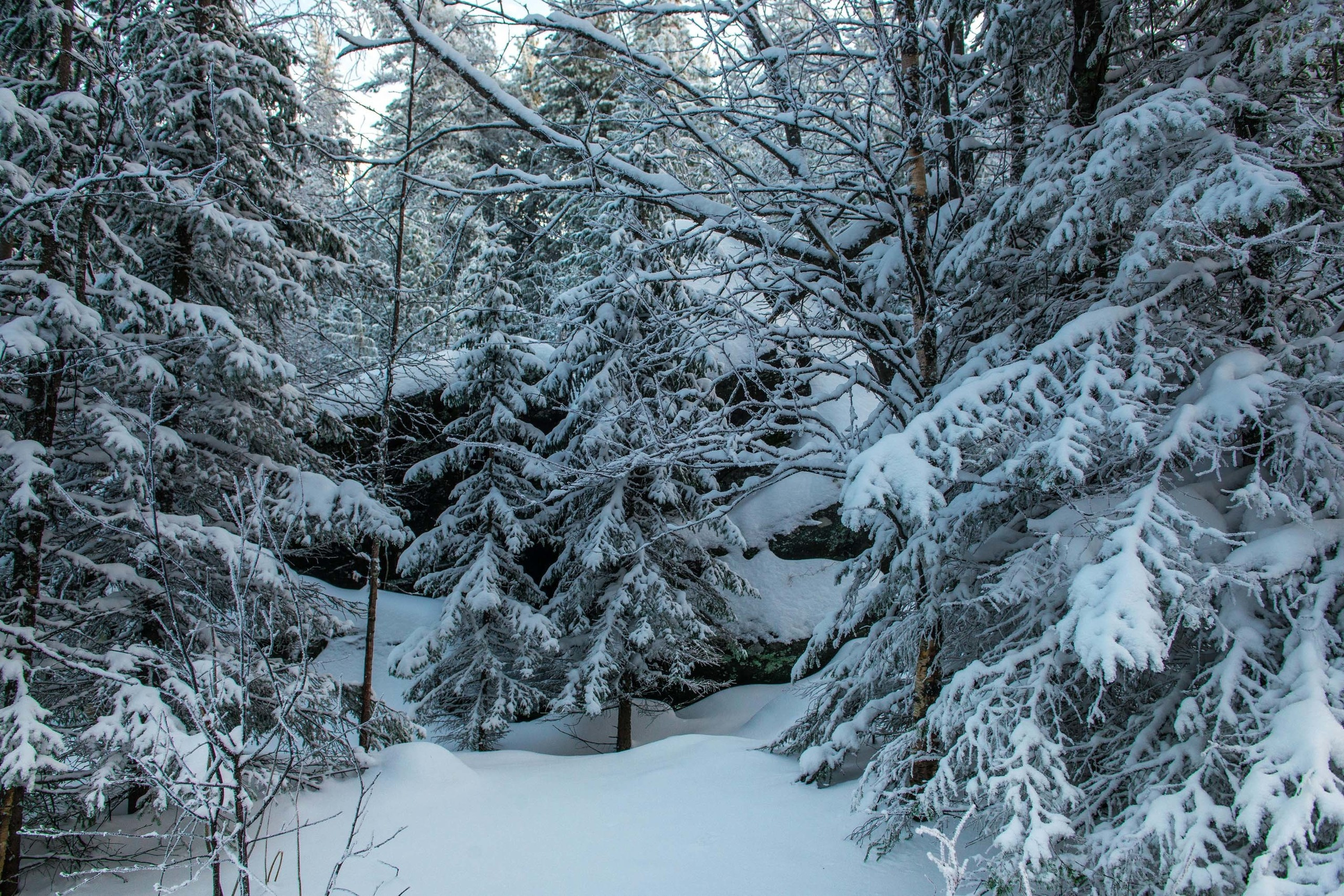 Качканар 24.11.2018. Свадебный фотограф на Урале Виктор Соколов