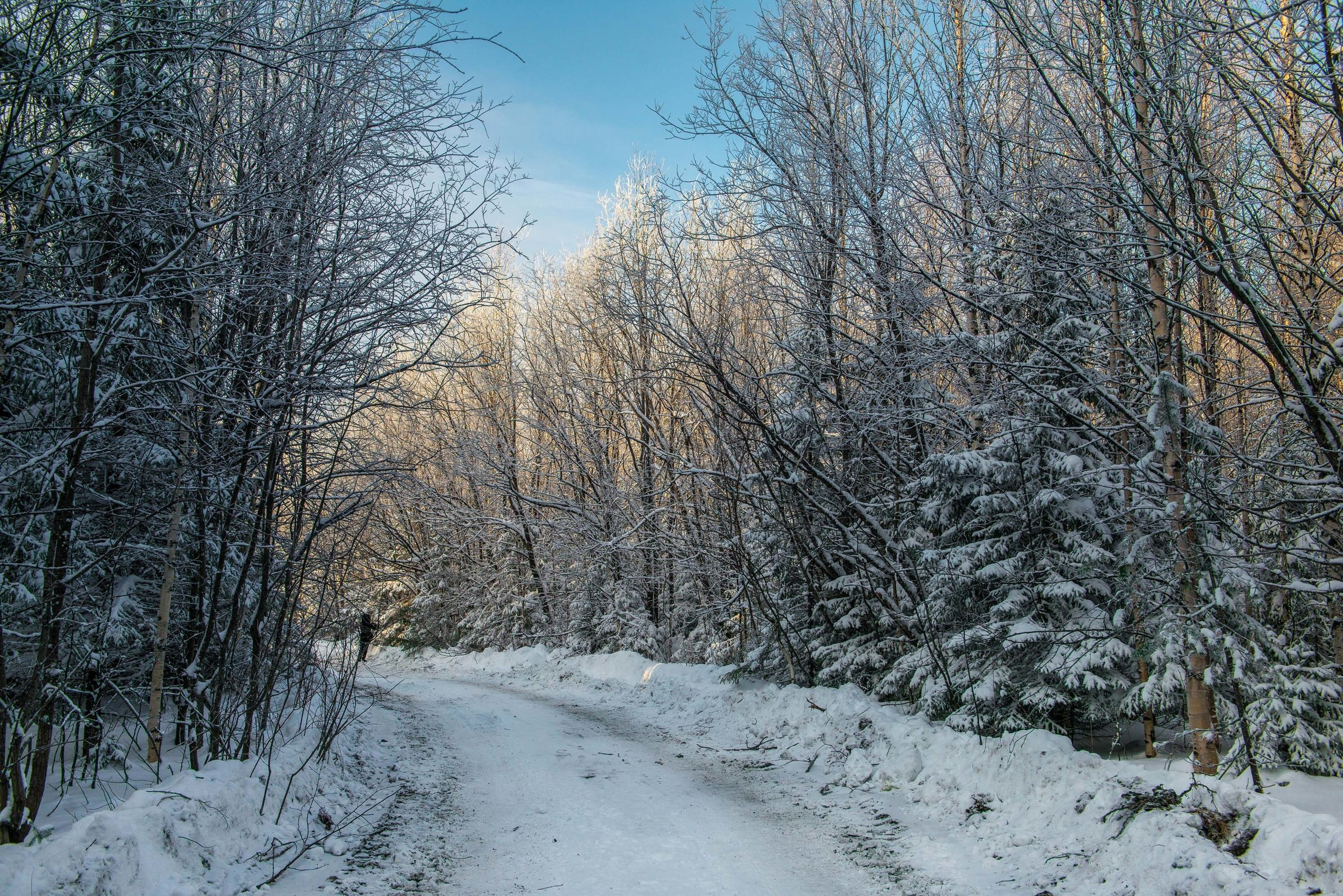 Качканар 24.11.2018. Свадебный фотограф на Урале Виктор Соколов
