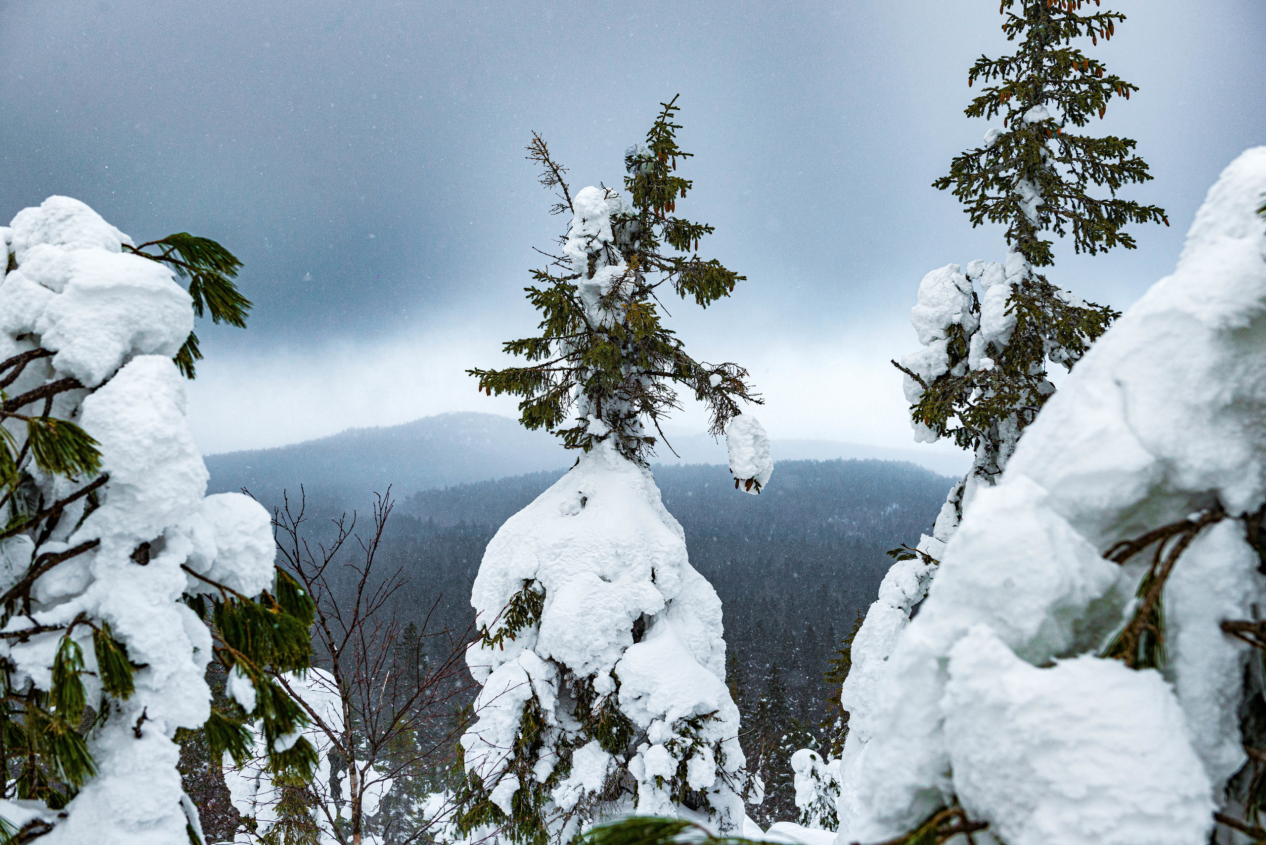 Качканар 07.03.2020. Свадебный фотограф на Урале Виктор Соколов