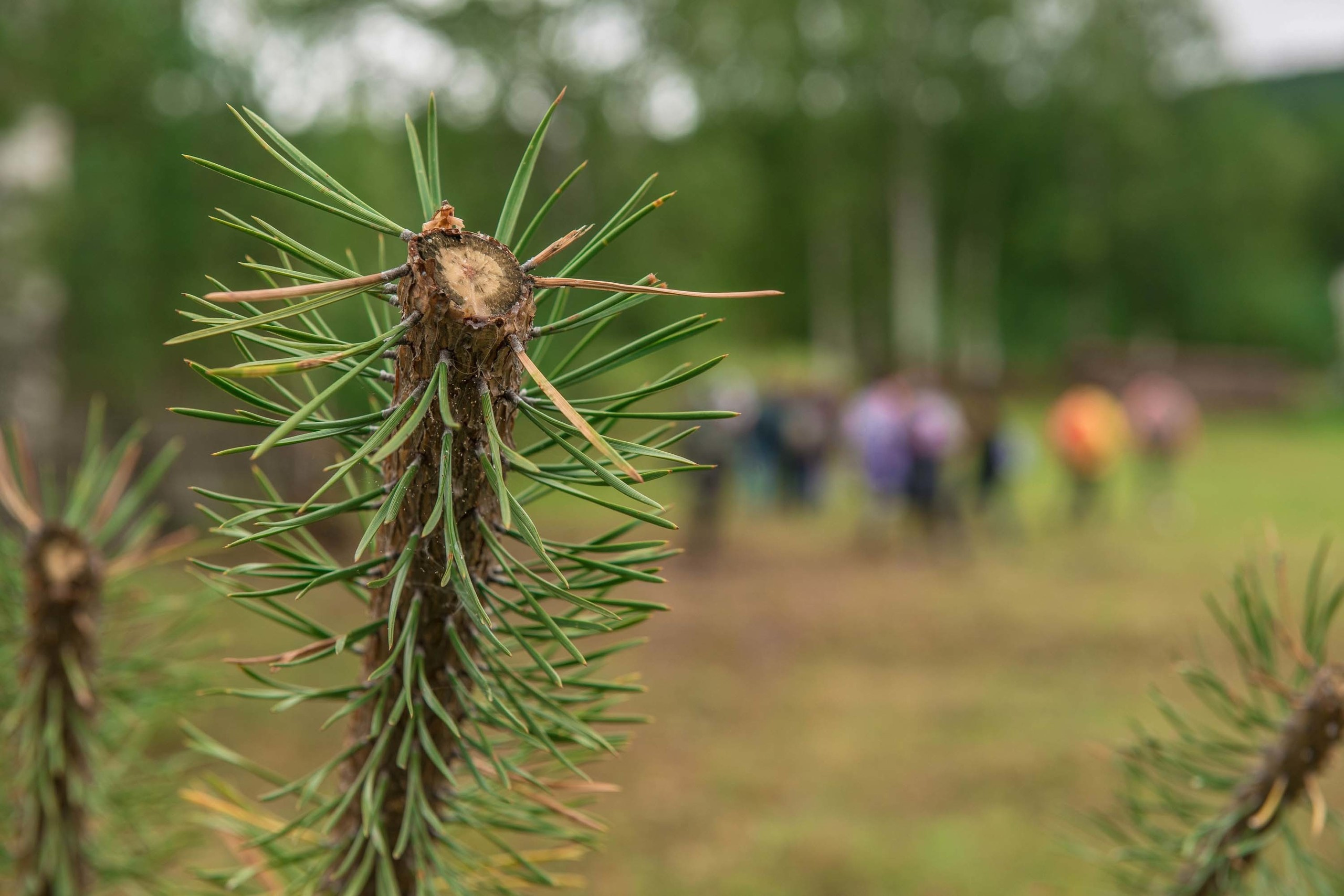 Качканар 03.08.2019. Свадебный фотограф на Урале Виктор Соколов