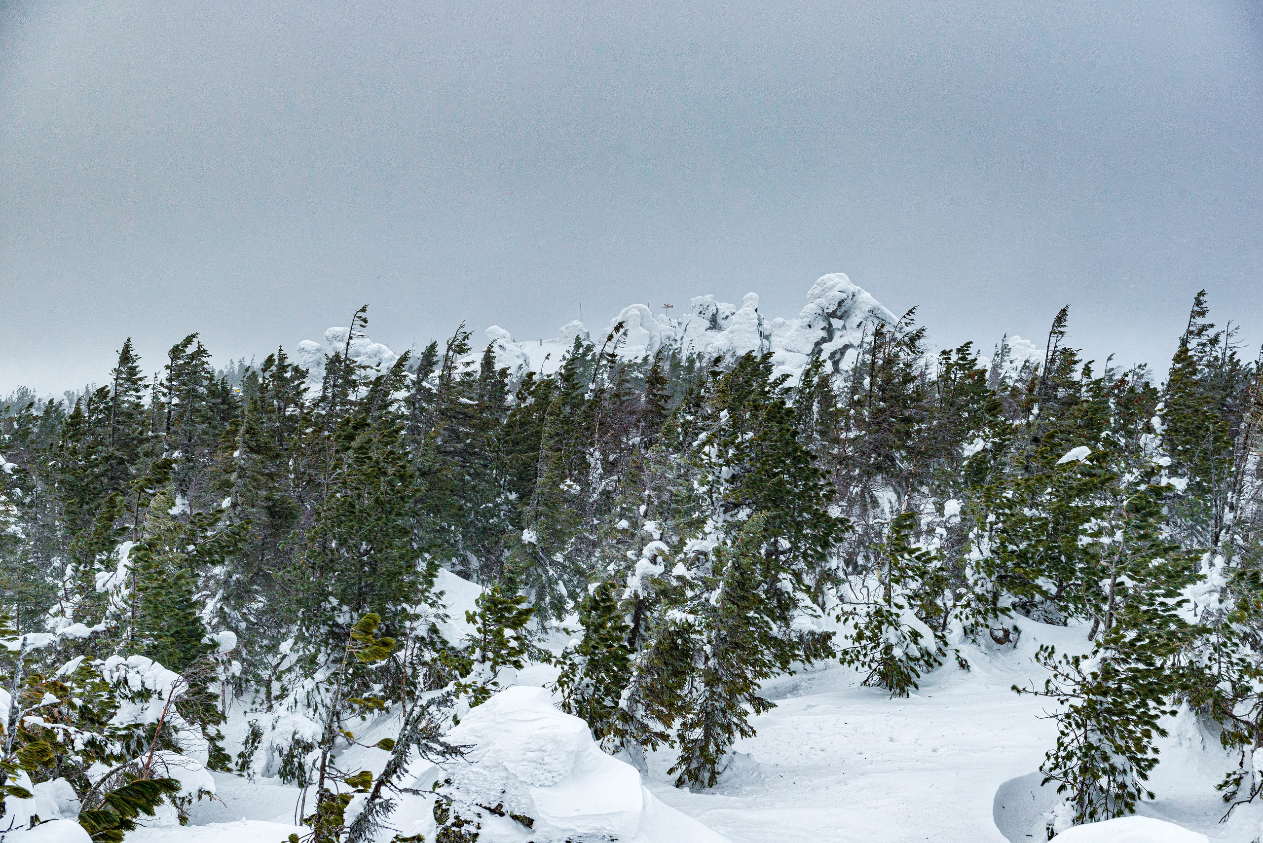 Качканар 07.03.2020. Свадебный фотограф на Урале Виктор Соколов