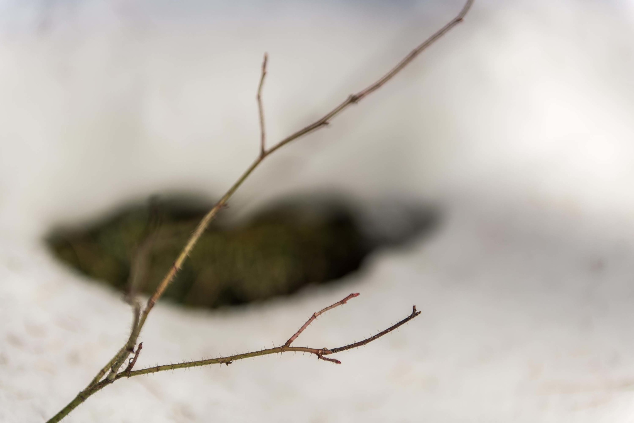 Качканар 06.04.2019. Свадебный фотограф на Урале Виктор Соколов