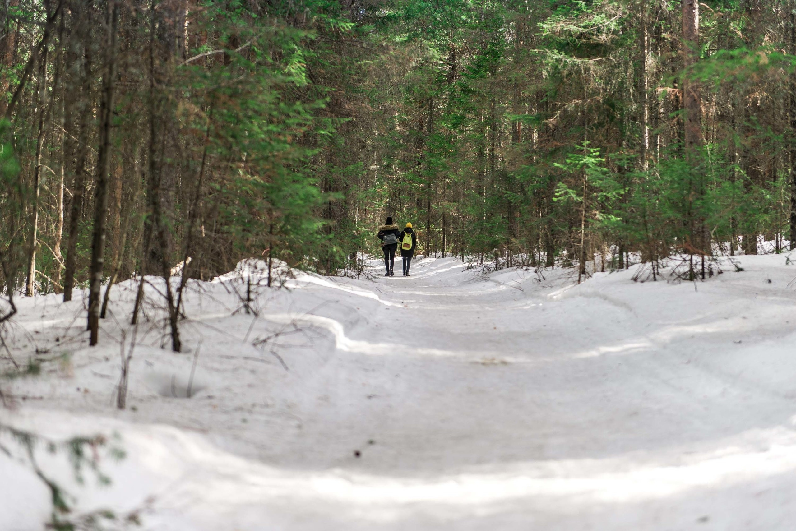 Качканар 06.04.2019. Свадебный фотограф на Урале Виктор Соколов