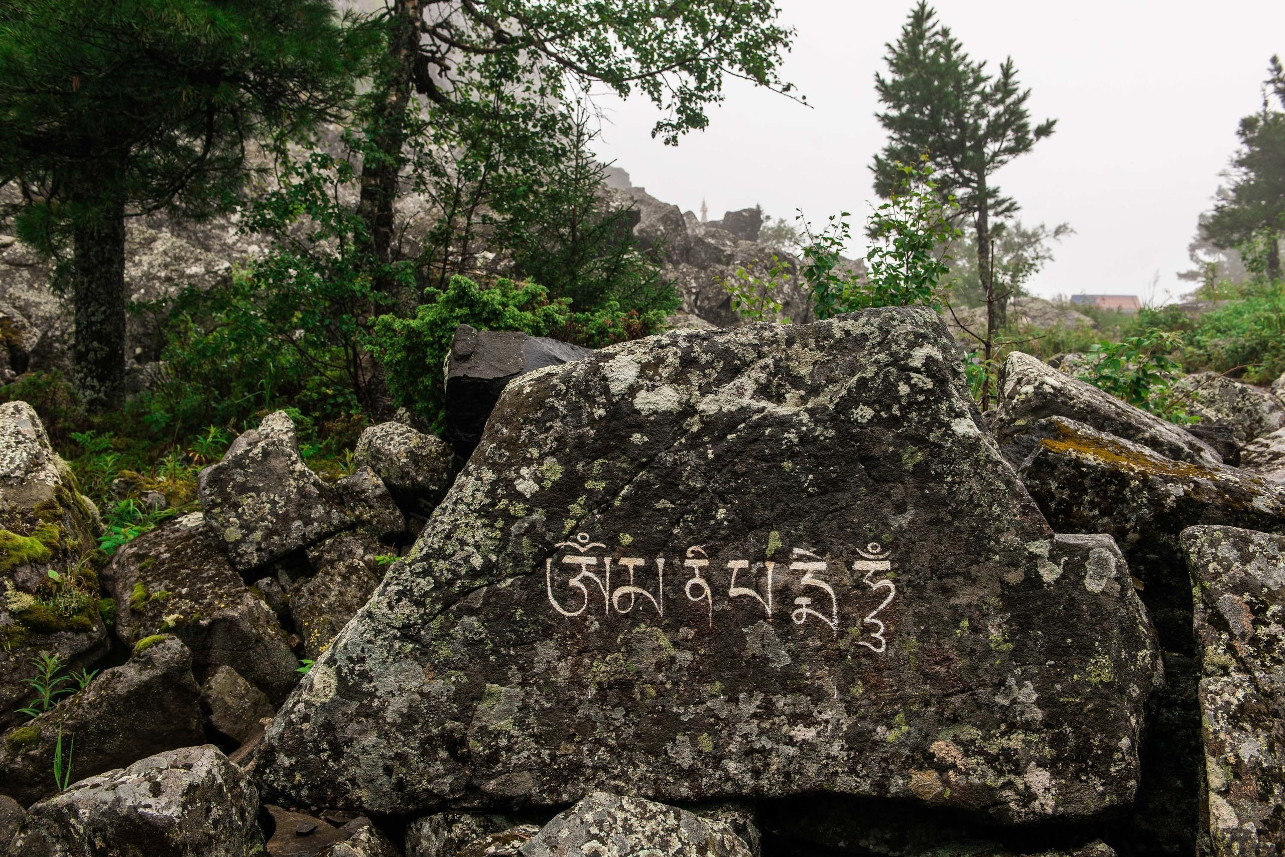 Качканар 03.08.2019. Свадебный фотограф на Урале Виктор Соколов