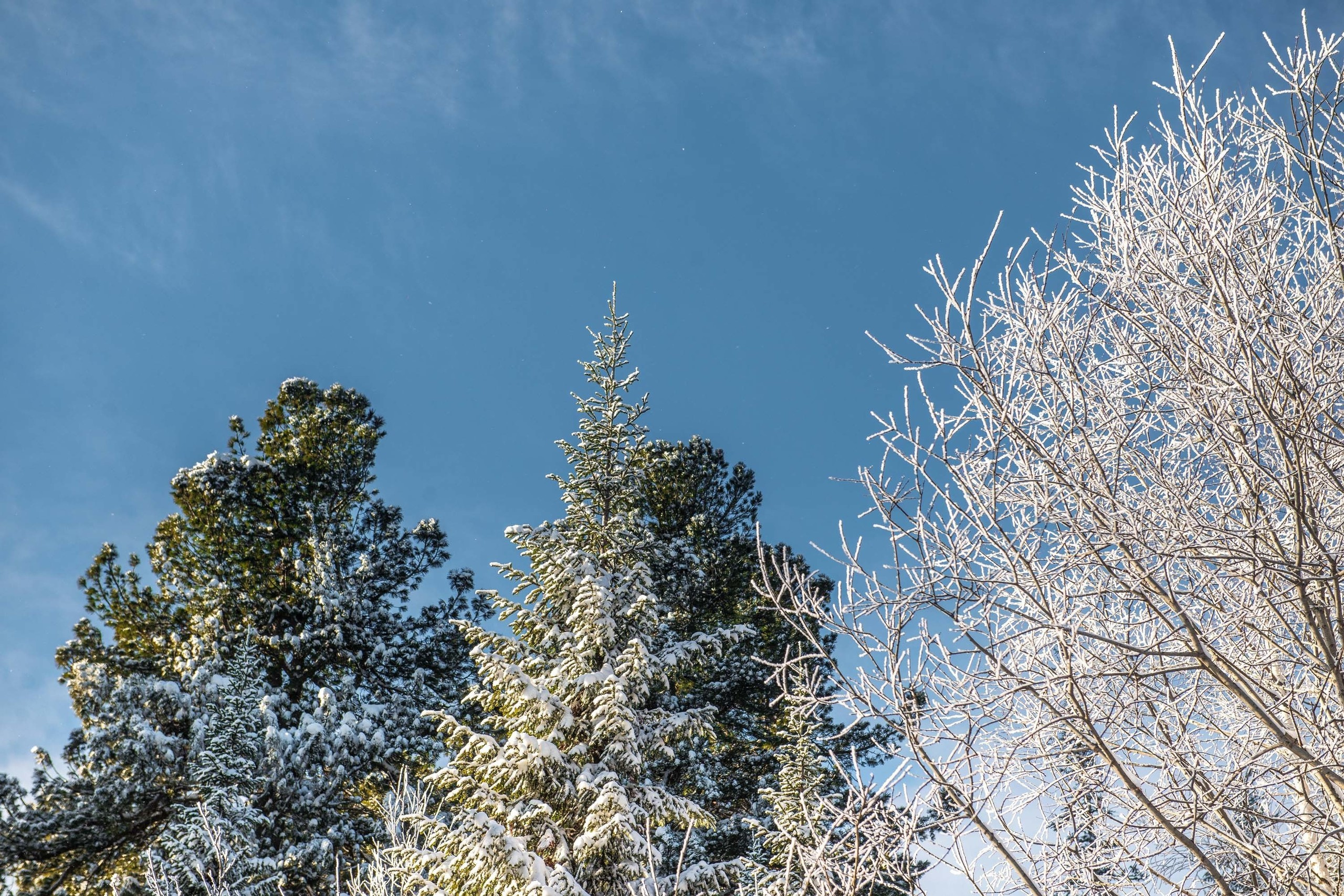 Качканар 24.11.2018. Свадебный фотограф на Урале Виктор Соколов