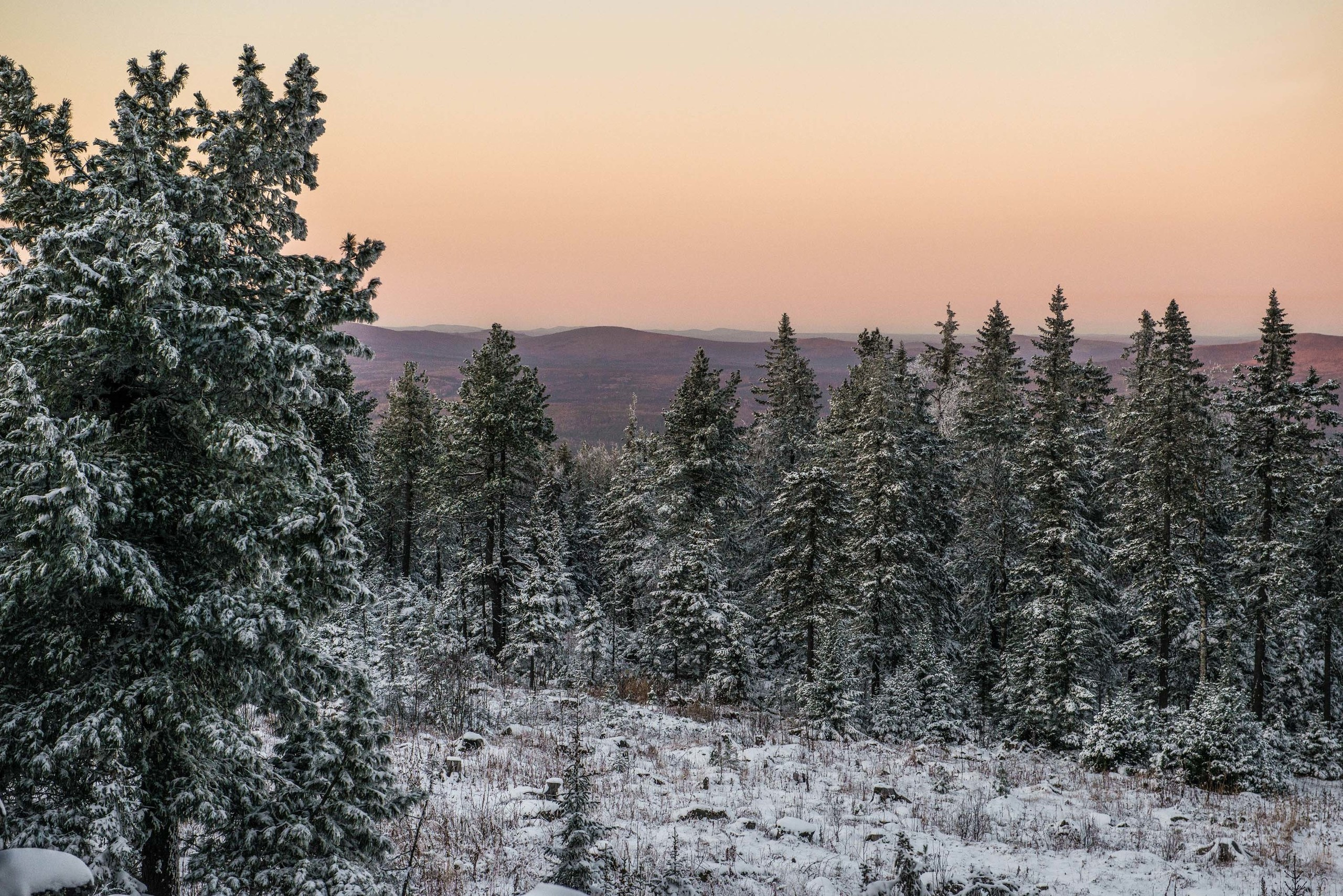Качканар 19.10.2019. Свадебный фотограф на Урале Виктор Соколов