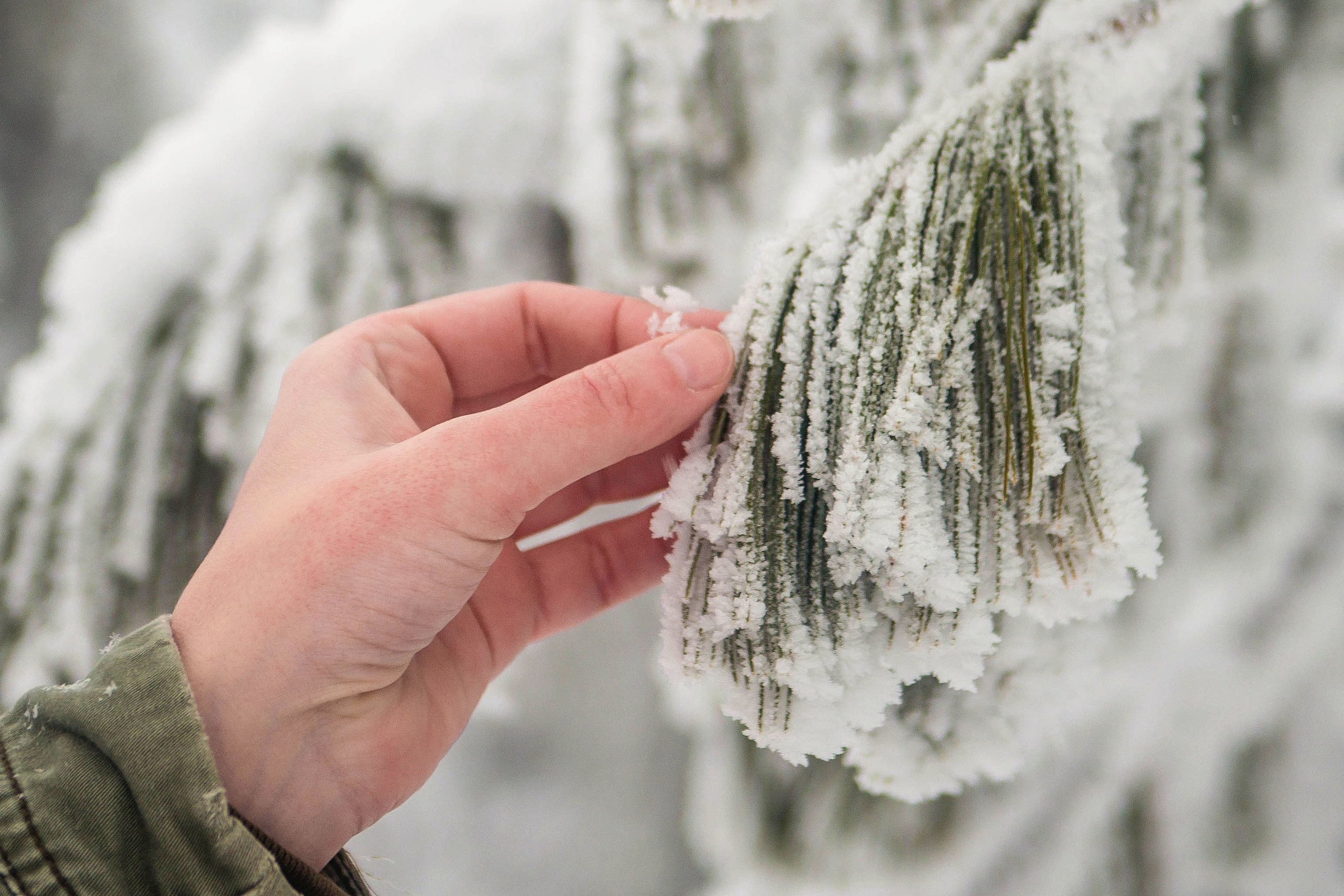 Качканар 06.01.2020. Свадебный фотограф на Урале Виктор Соколов