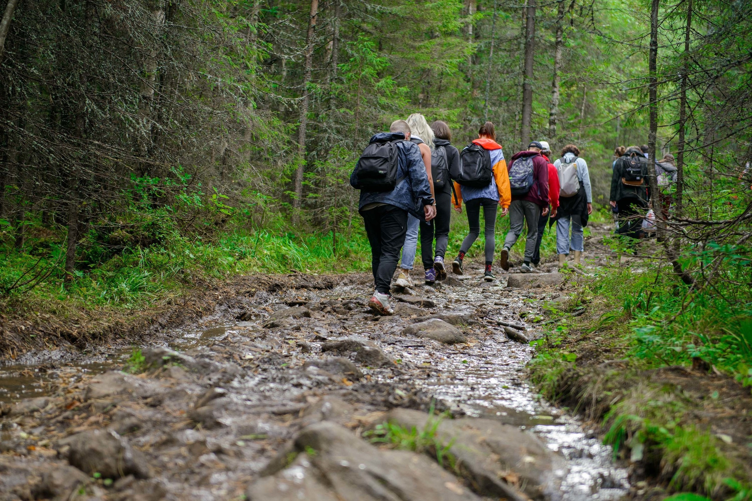 Качканар 24.08.2019. Свадебный фотограф на Урале Виктор Соколов