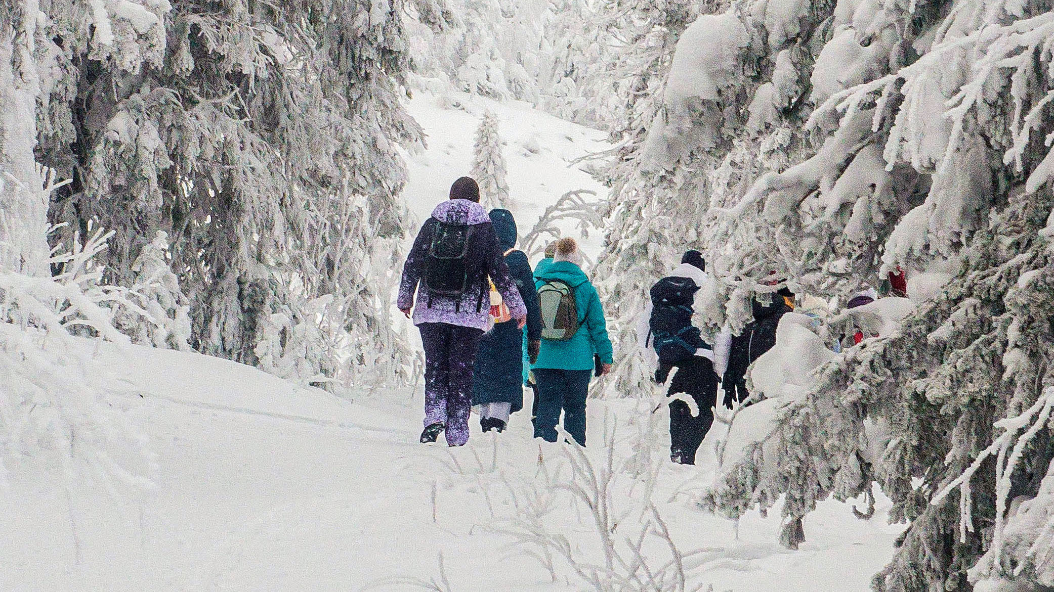 Качканар 06.01.2020. Свадебный фотограф на Урале Виктор Соколов