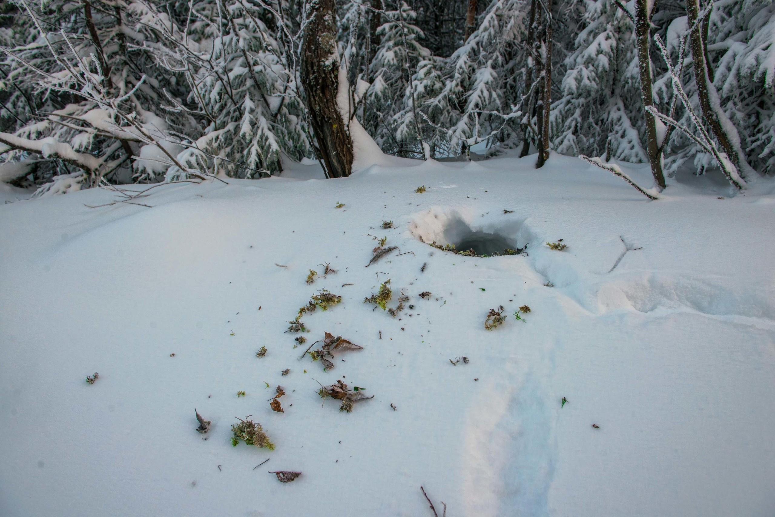 Качканар 24.11.2018. Свадебный фотограф на Урале Виктор Соколов