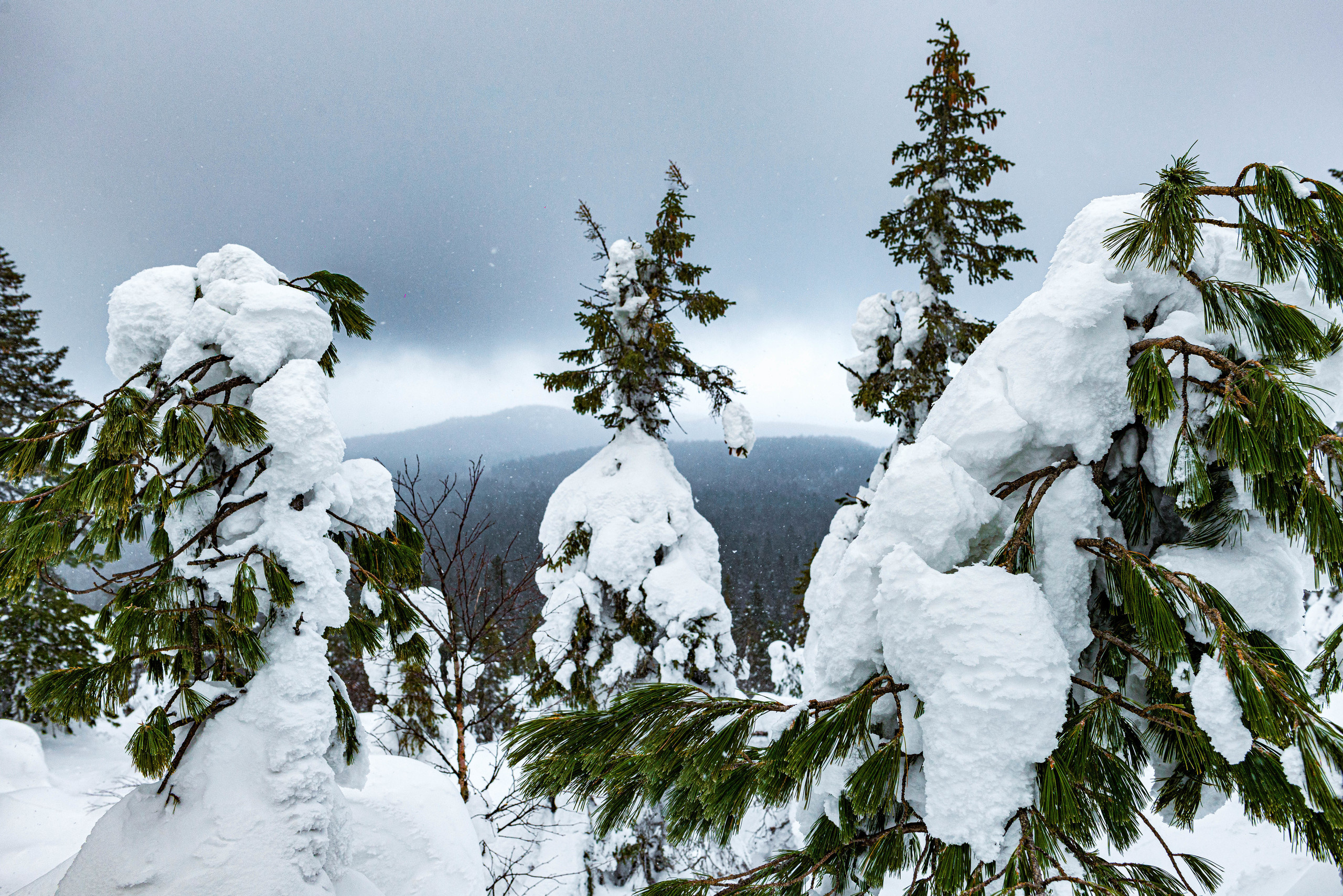 Качканар 07.03.2020. Свадебный фотограф на Урале Виктор Соколов