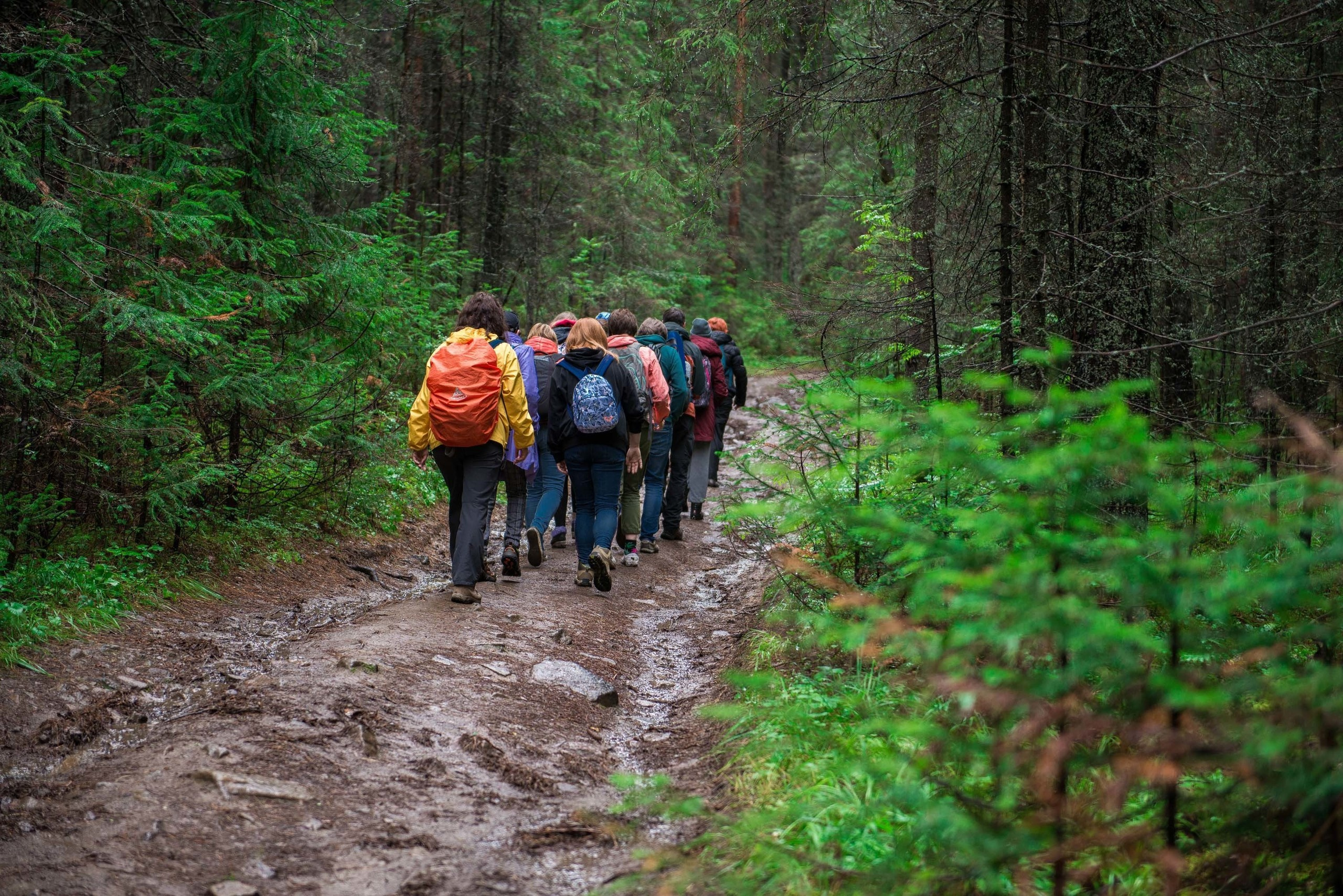 Качканар 03.08.2019. Свадебный фотограф на Урале Виктор Соколов