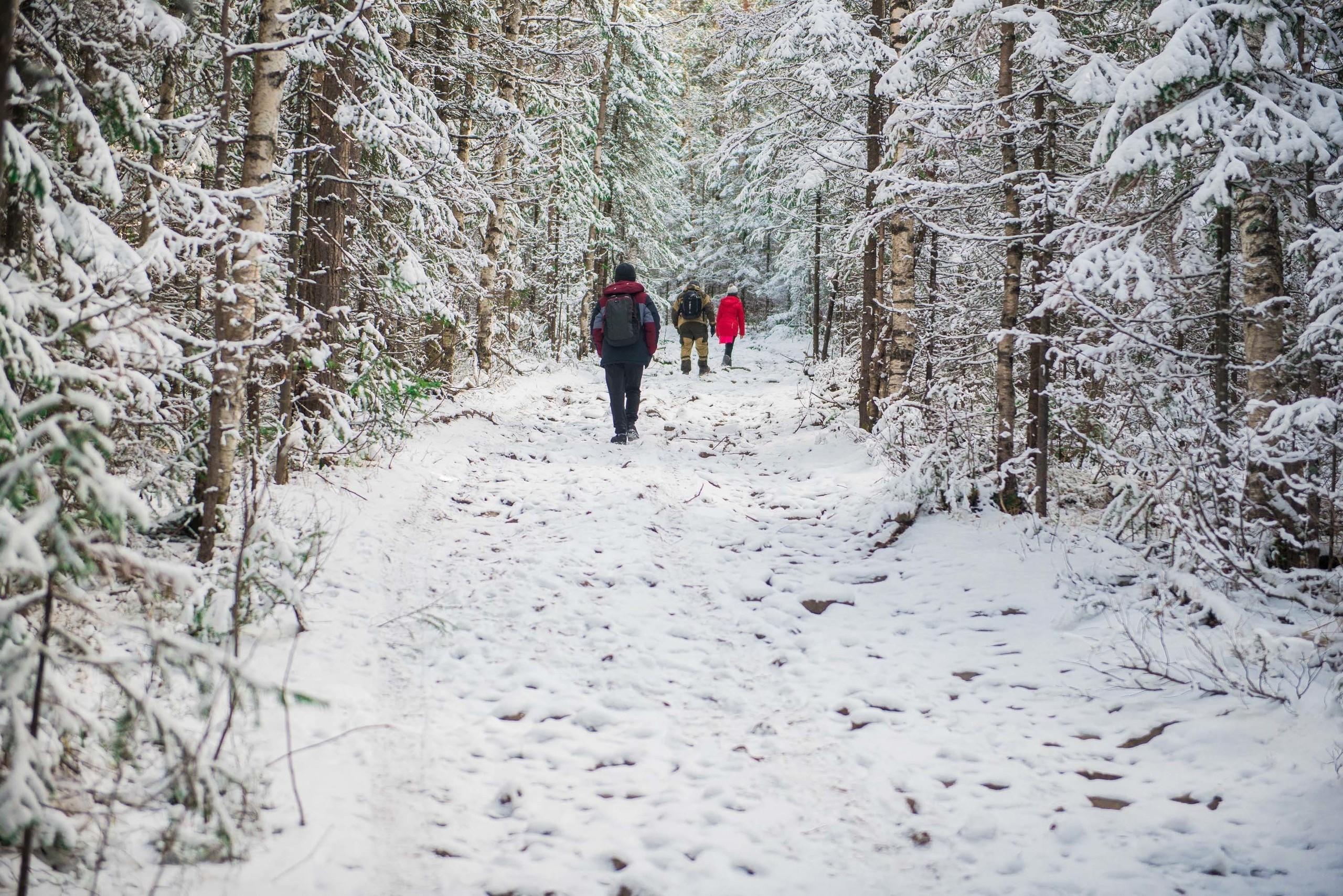 Качканар 19.10.2019. Свадебный фотограф на Урале Виктор Соколов