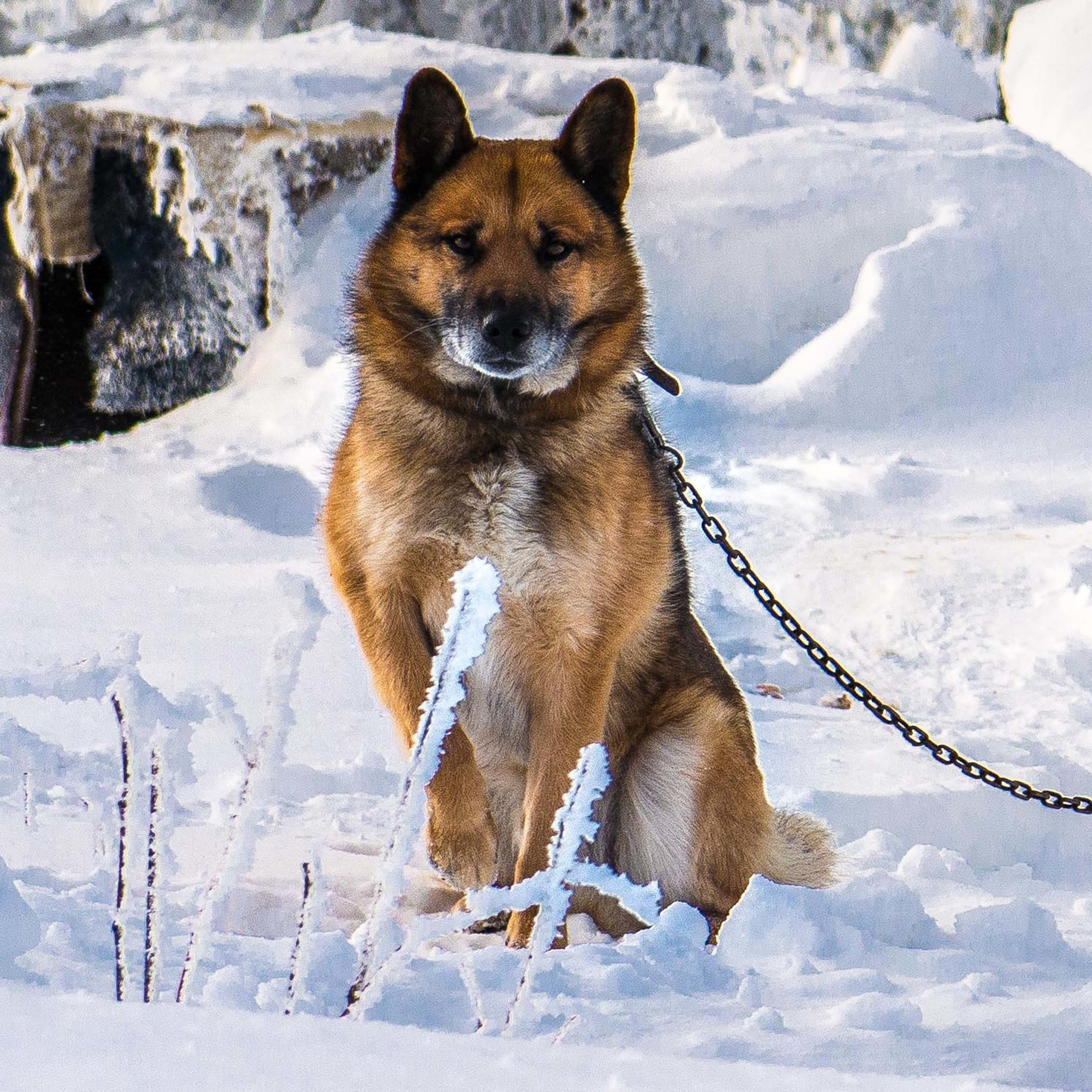 Качканар 24.11.2018. Свадебный фотограф на Урале Виктор Соколов