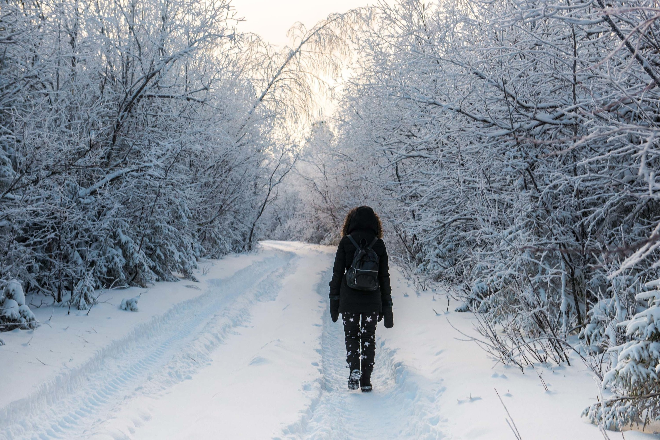 Качканар 24.11.2018. Свадебный фотограф на Урале Виктор Соколов