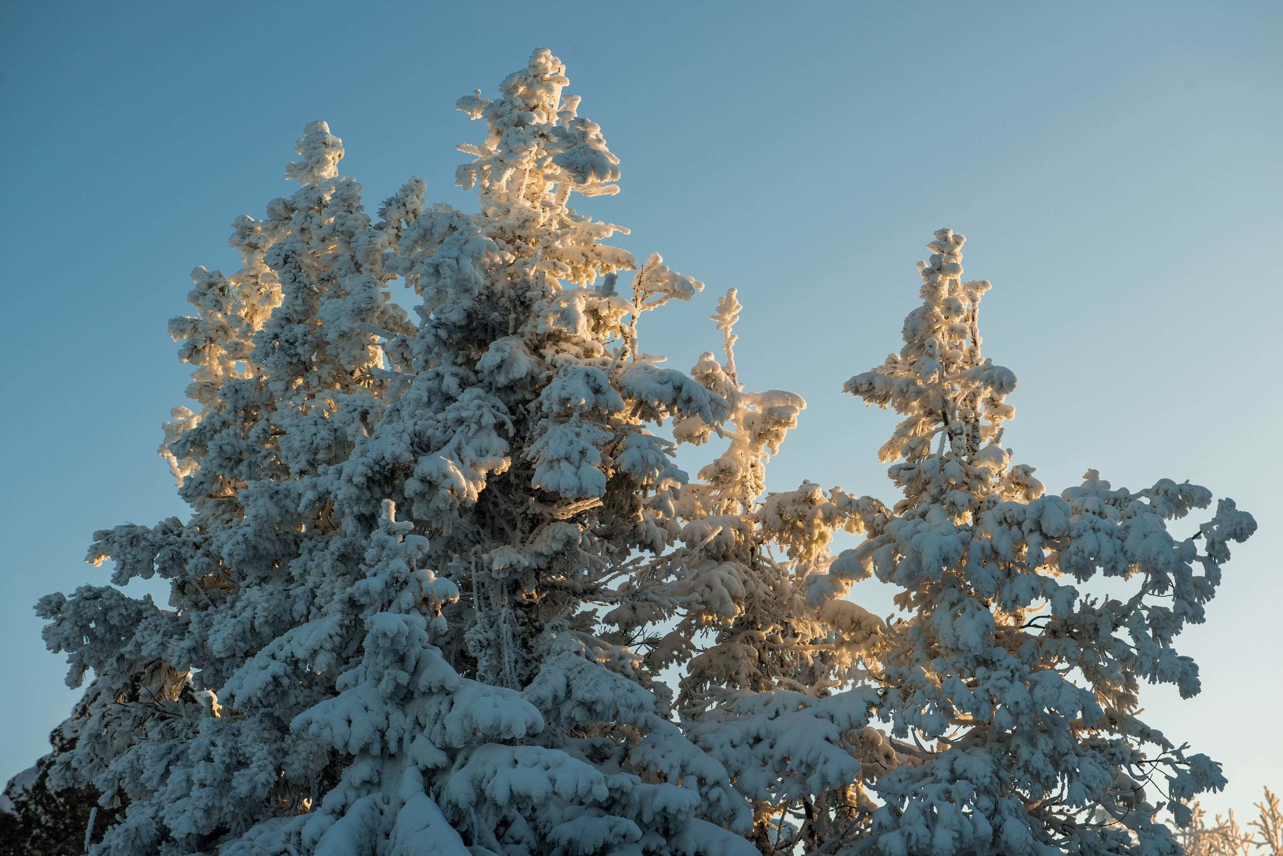 Качканар 19.10.2019. Свадебный фотограф на Урале Виктор Соколов