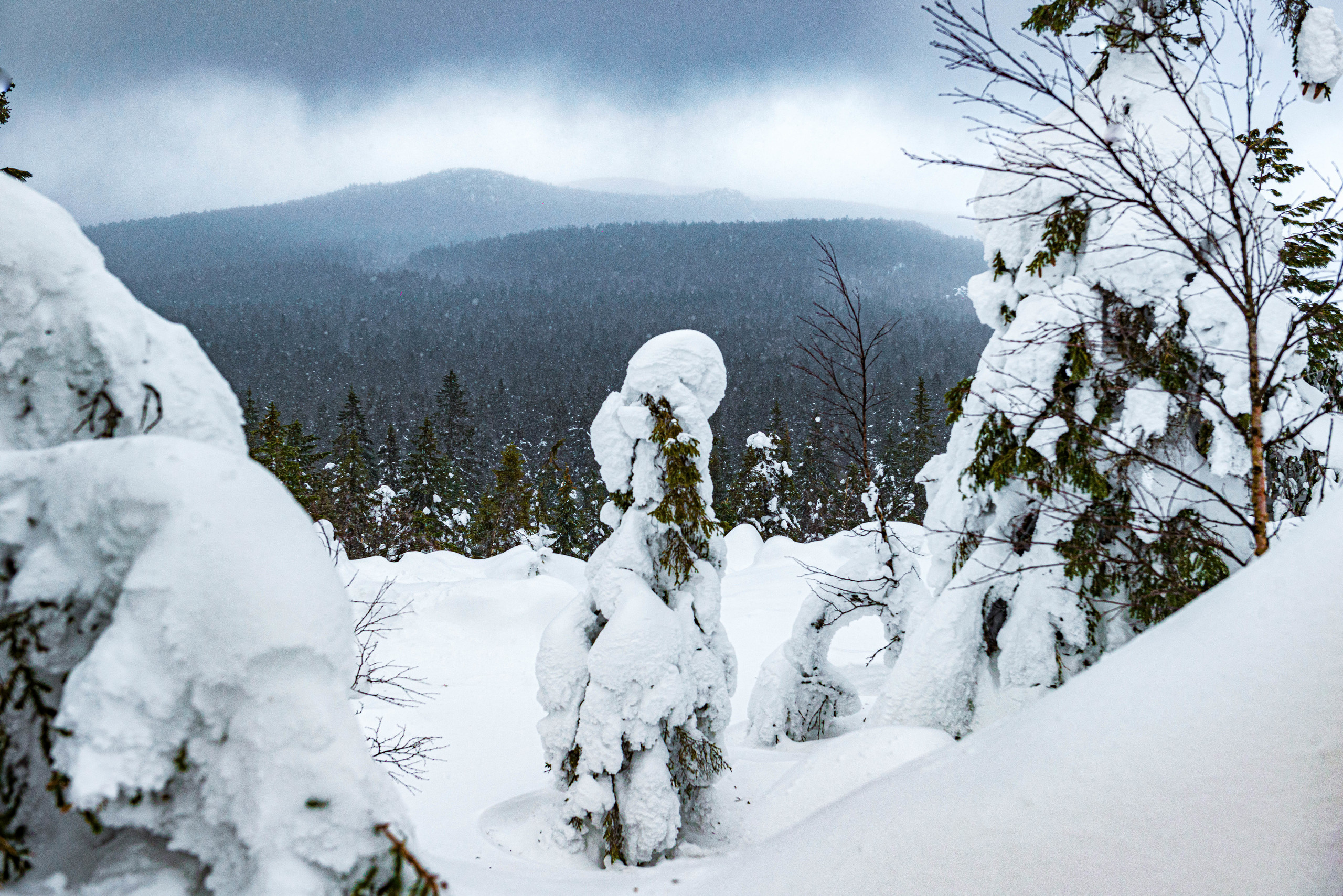 Качканар 07.03.2020. Свадебный фотограф на Урале Виктор Соколов