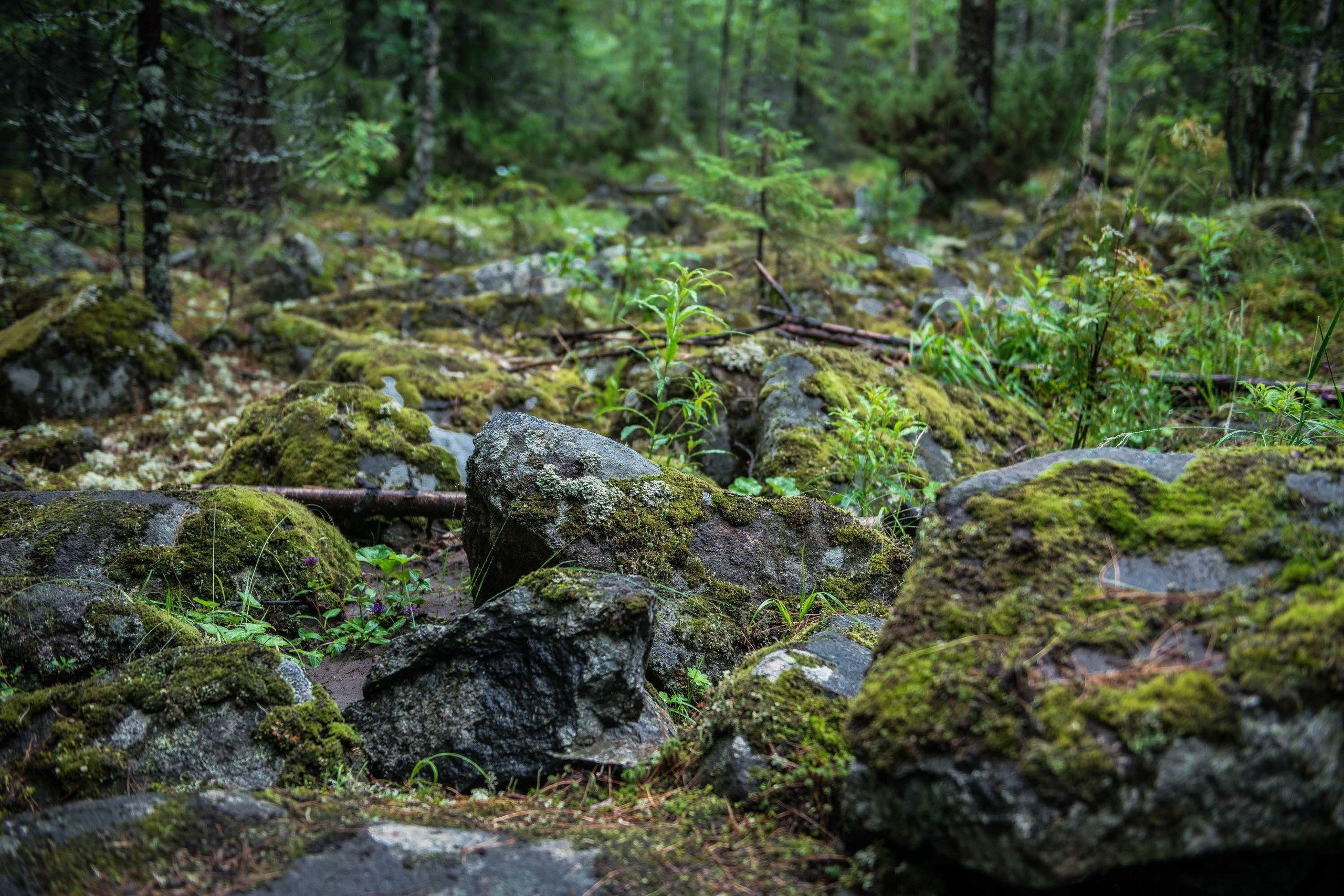 Качканар 03.08.2019. Свадебный фотограф на Урале Виктор Соколов