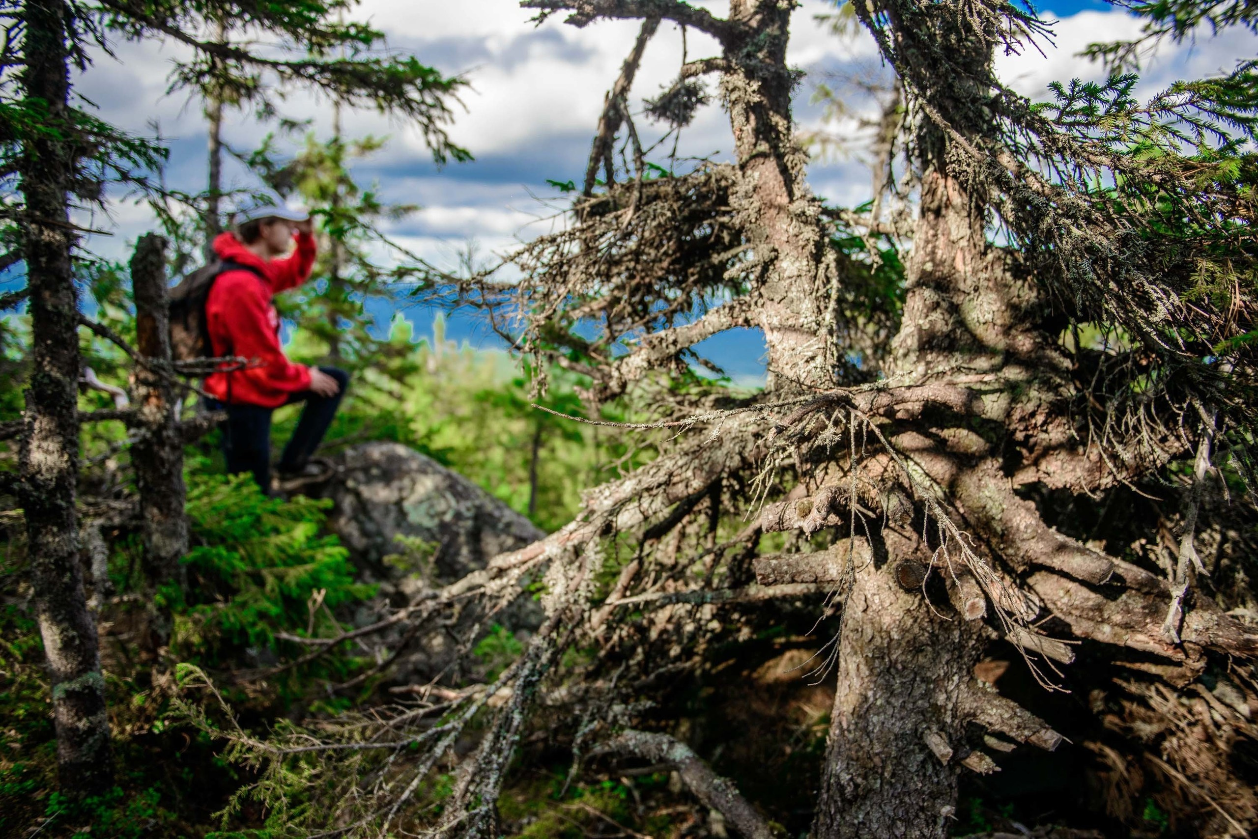 Качканар 24.08.2019. Свадебный фотограф на Урале Виктор Соколов