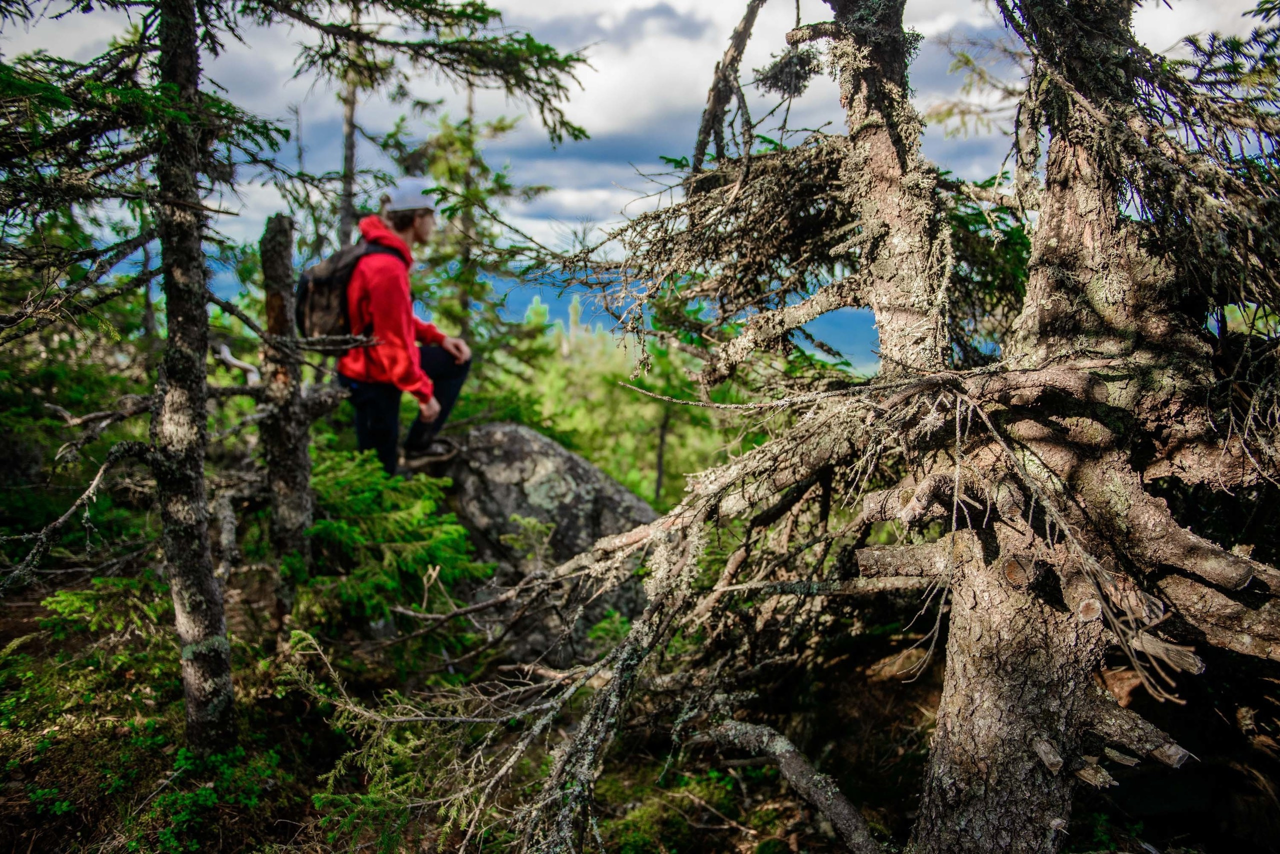 Качканар 24.08.2019. Свадебный фотограф на Урале Виктор Соколов