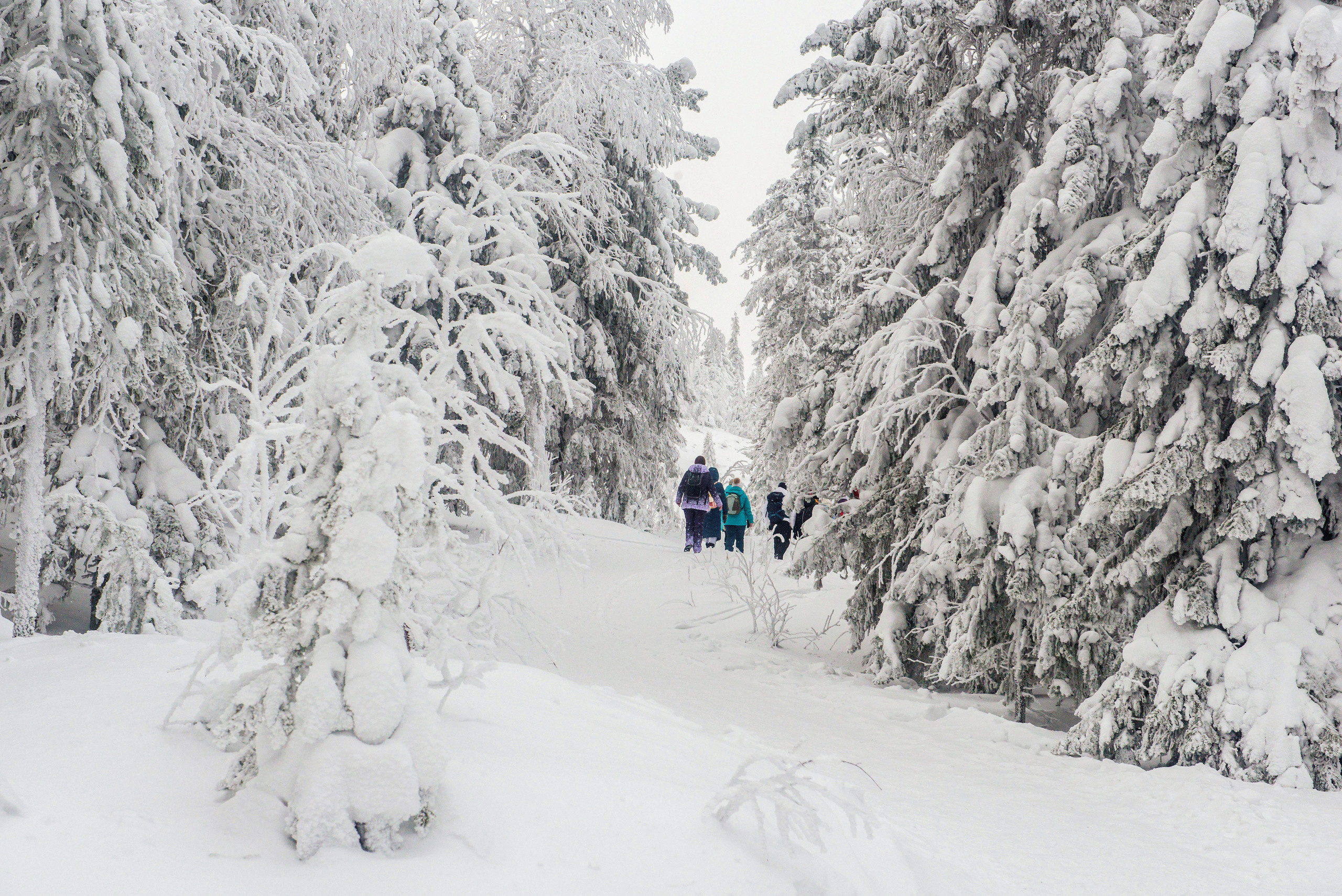 Качканар 06.01.2020. Свадебный фотограф на Урале Виктор Соколов
