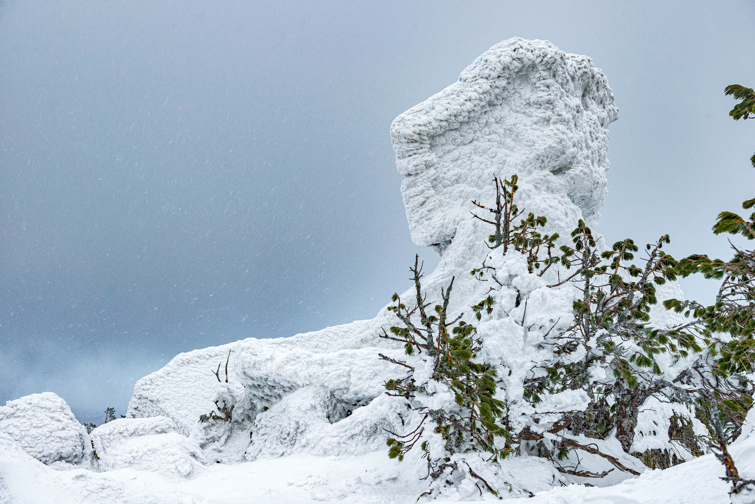 Качканар 07.03.2020. Свадебный фотограф на Урале Виктор Соколов