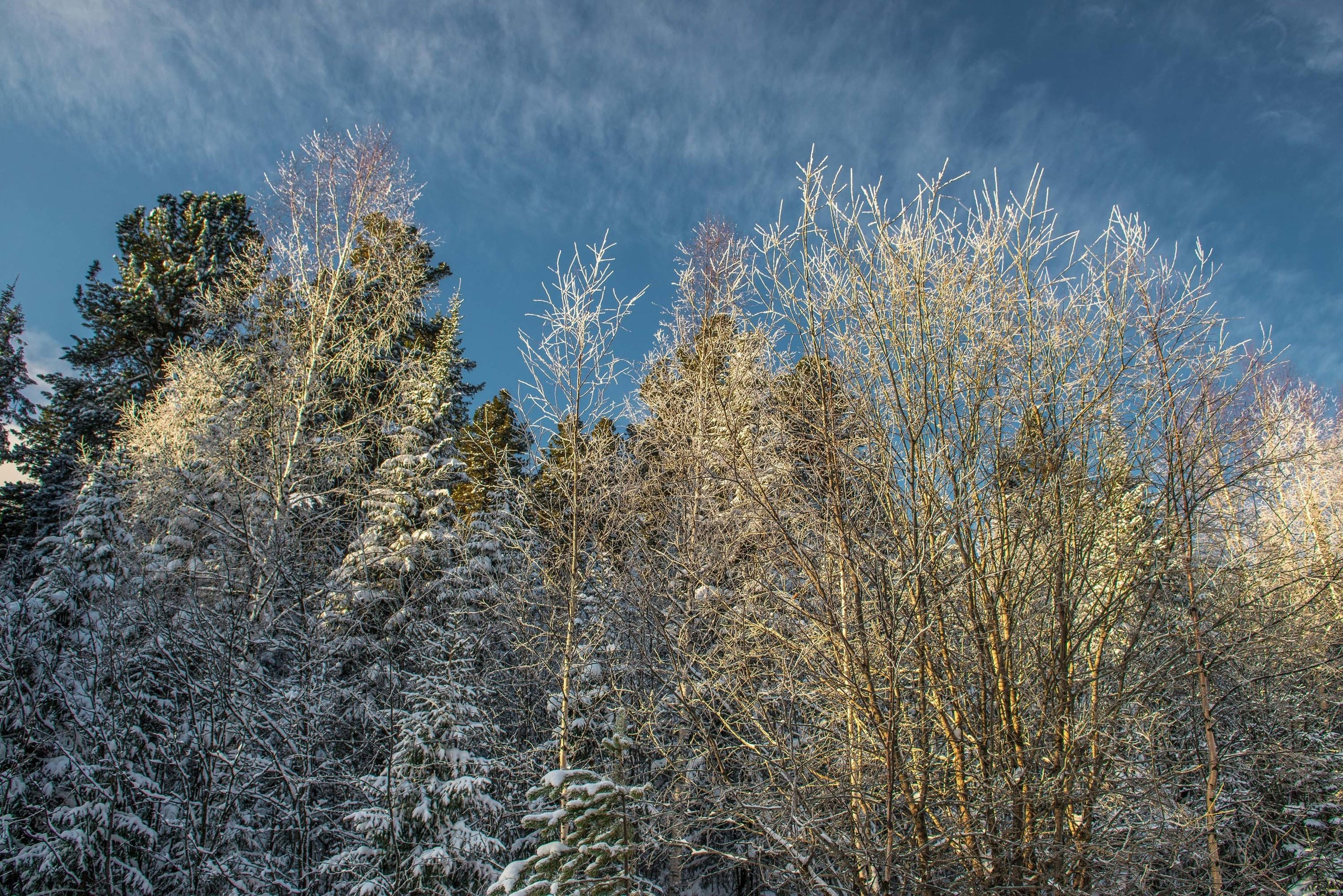 Качканар 24.11.2018. Свадебный фотограф на Урале Виктор Соколов