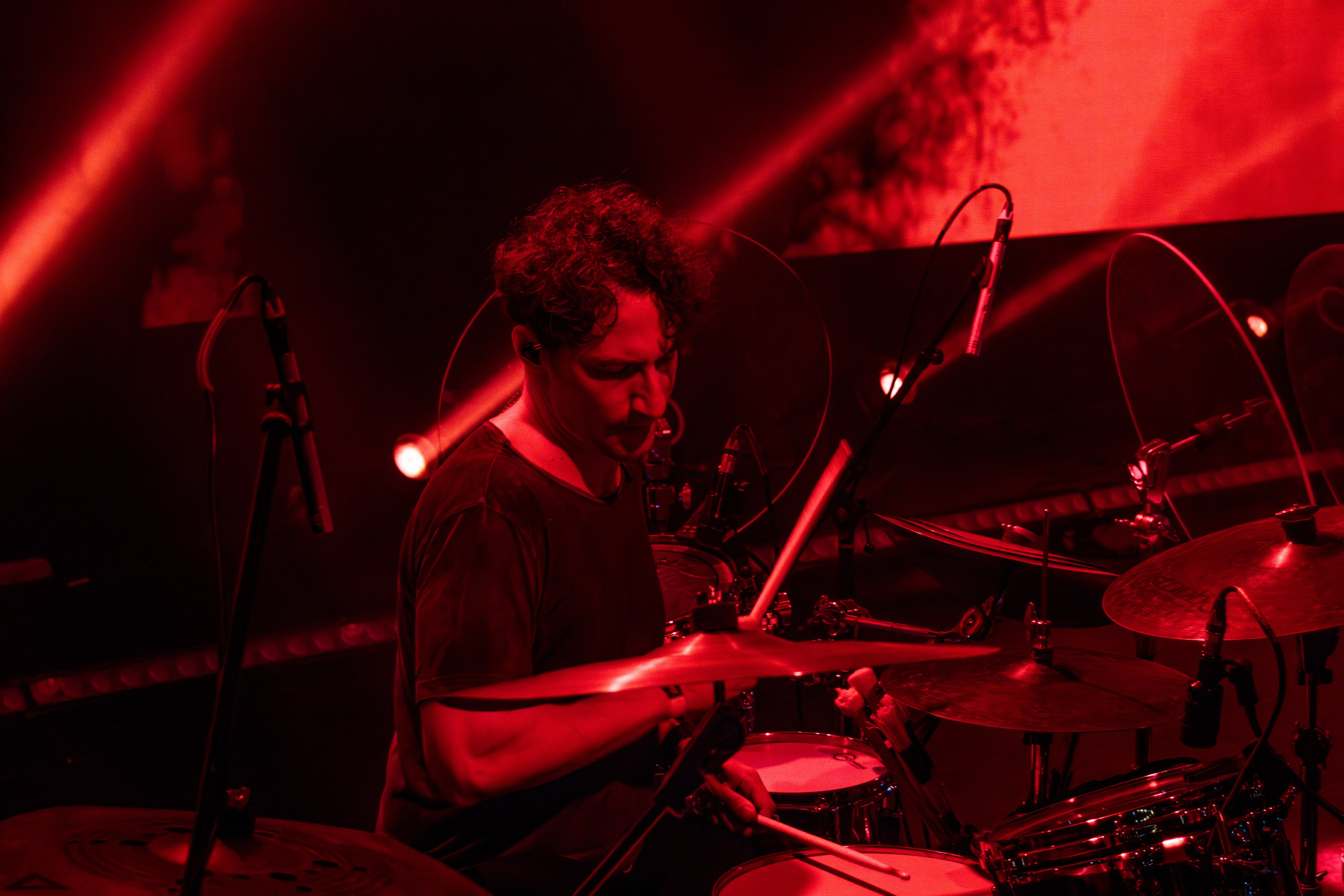 Дельфин. Портретный и концертный фотограф в Санкт-Петербурге Егор Телятников