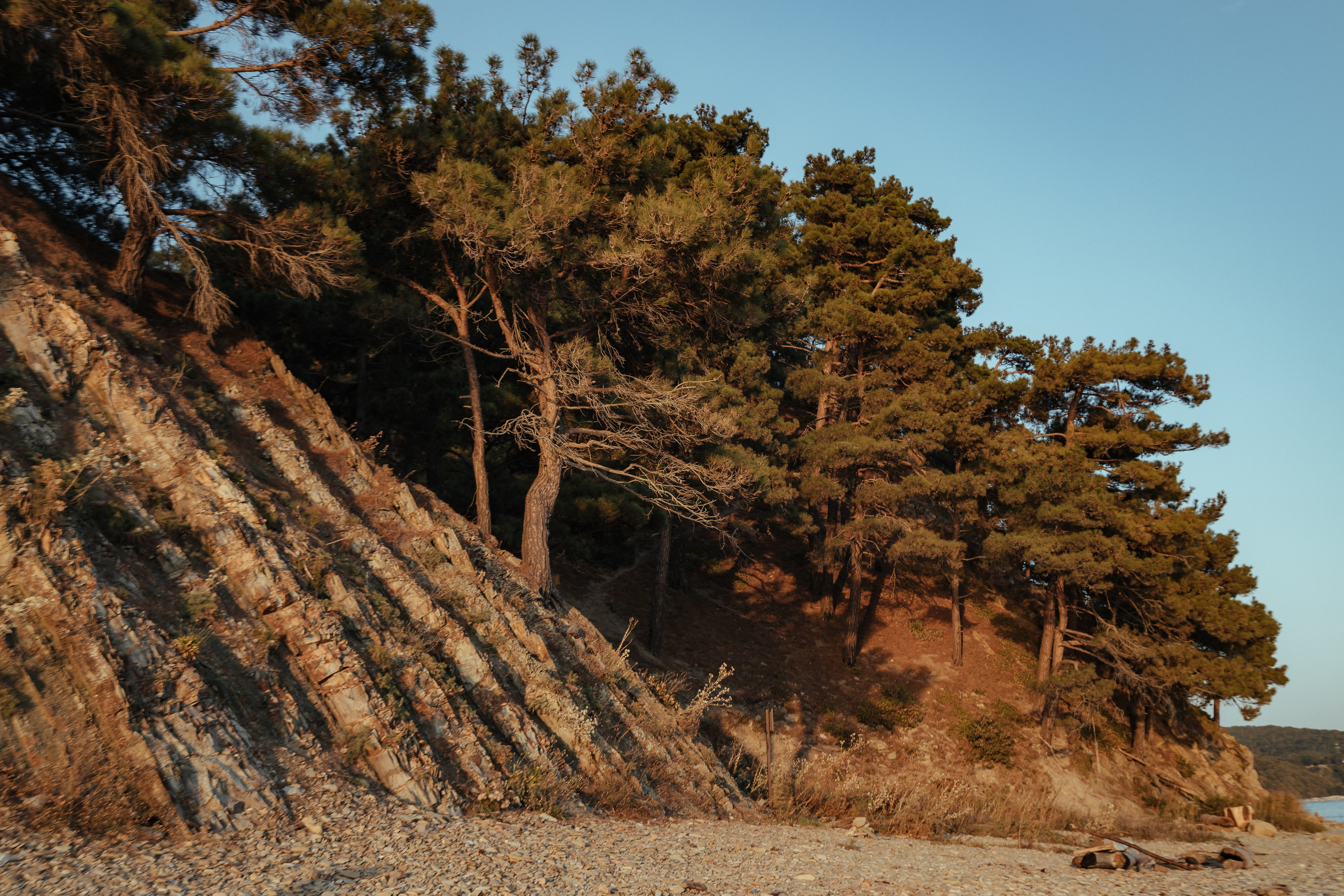 Андрей, Елена и Егор