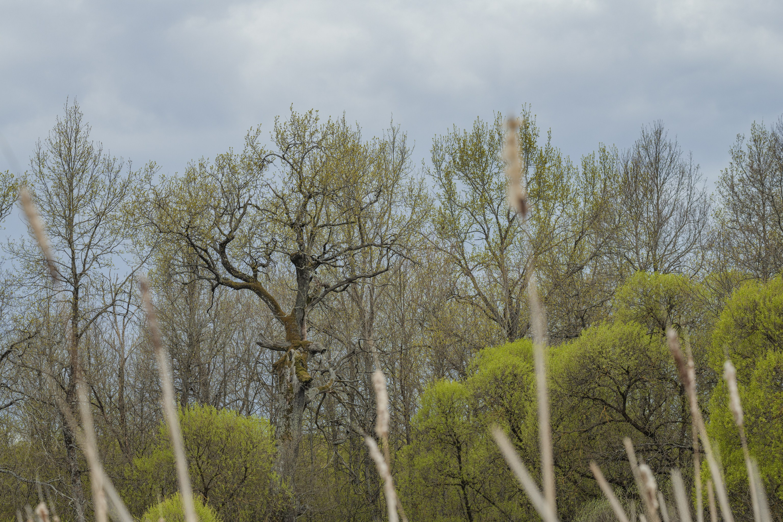 Водный поход 1-й кс по реке Случь. Репортажный фотограф Владимир Беляй