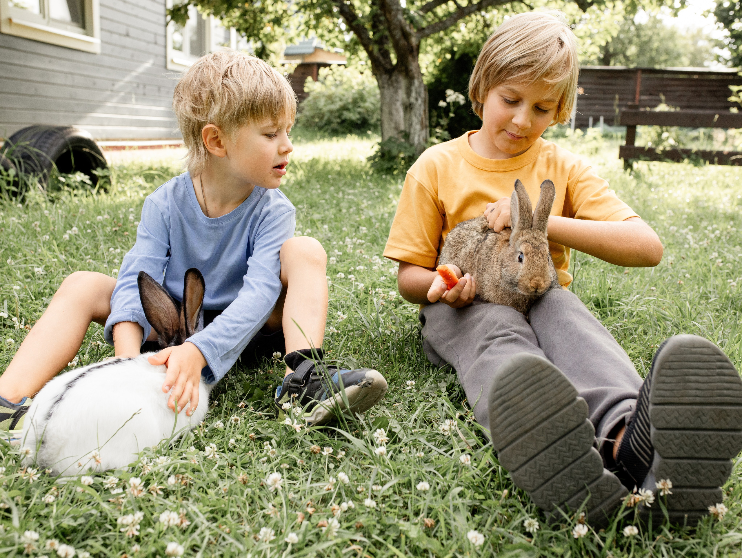 Кролики 2023. Семейный фотограф в Санкт-Петербурге Ирина Иванова