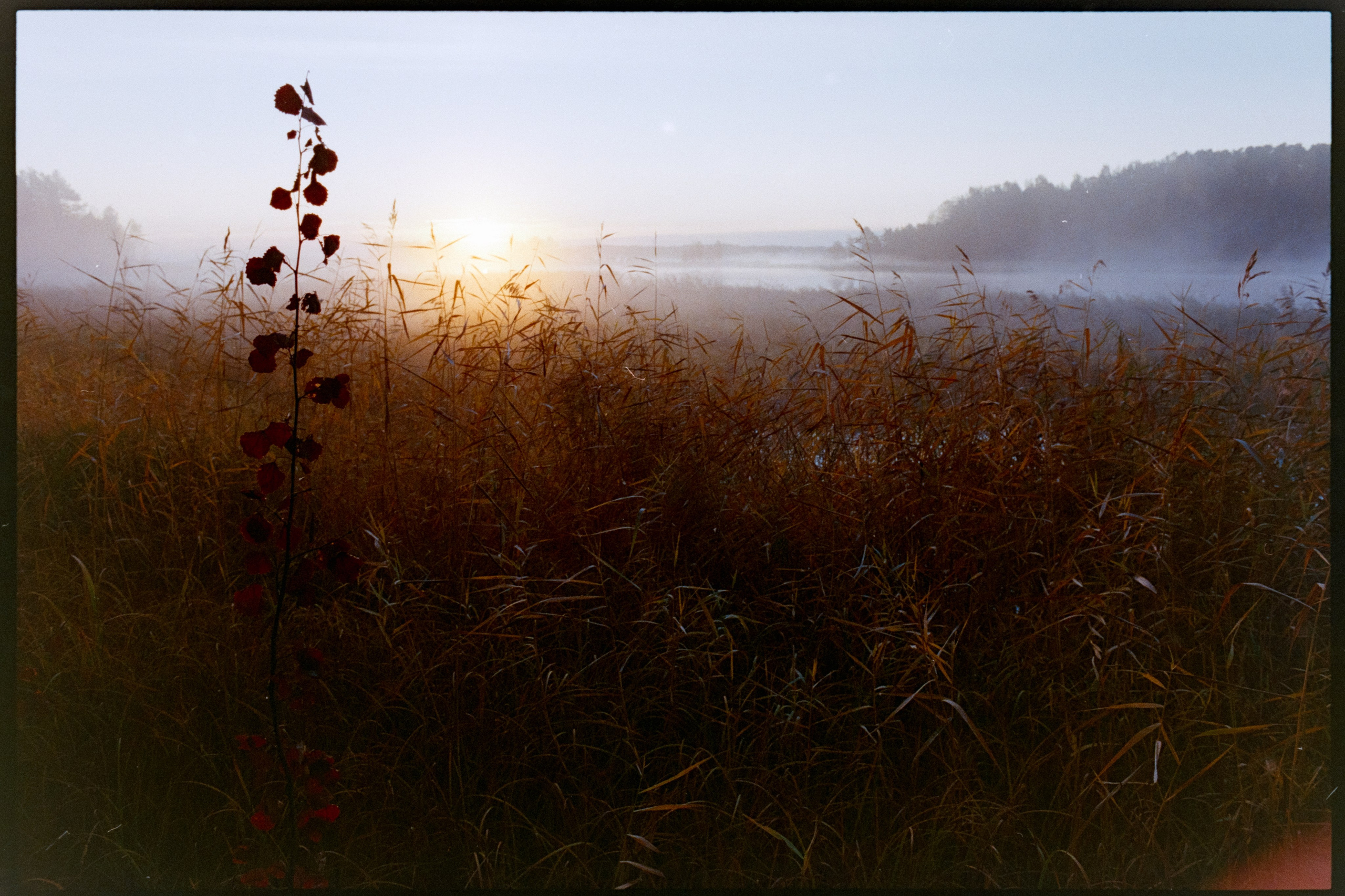 Пейзаж. Портретный фотограф Виктор Льерена