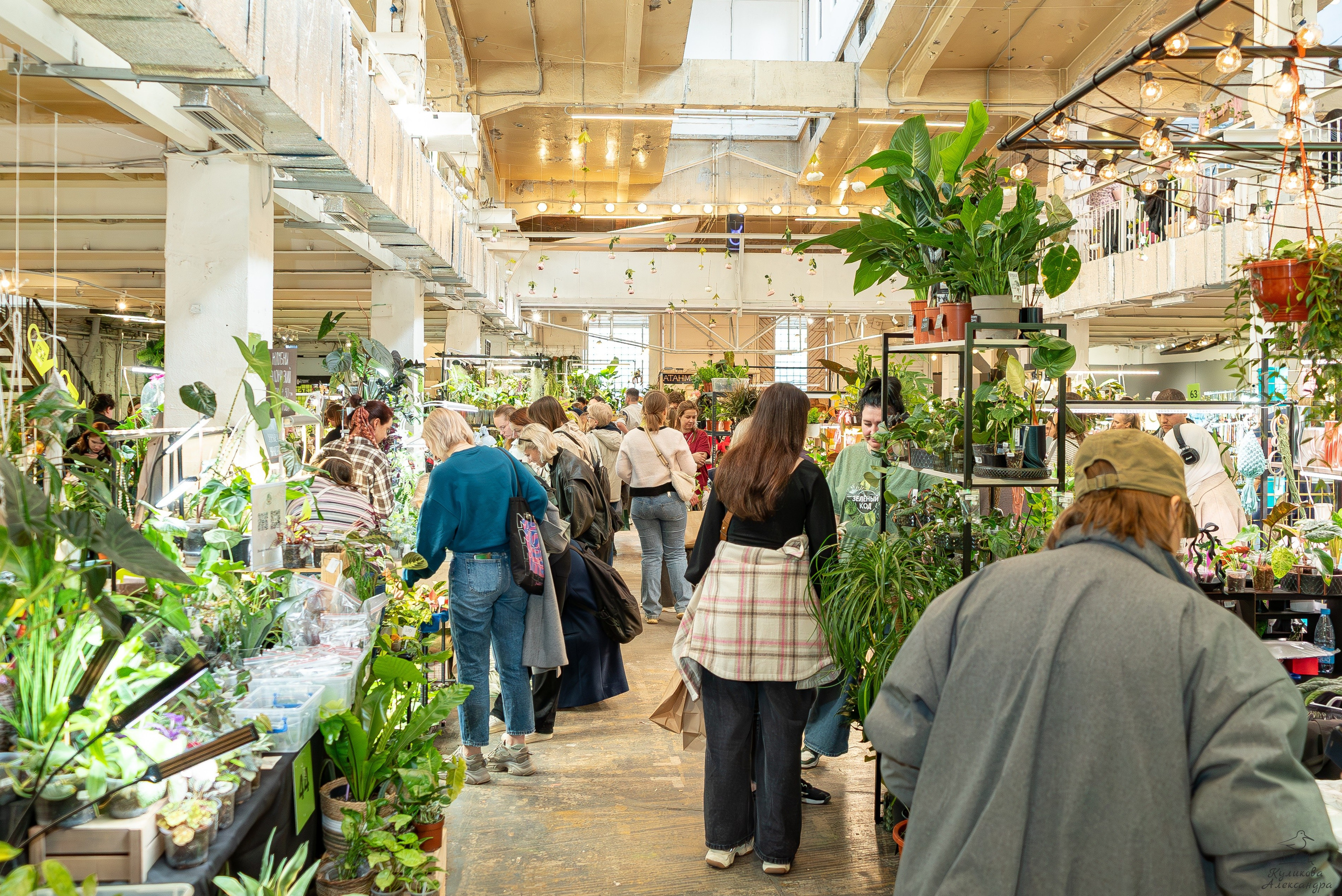 Гроубокс Артплей апрель. Александра Куликова фотограф, Москва