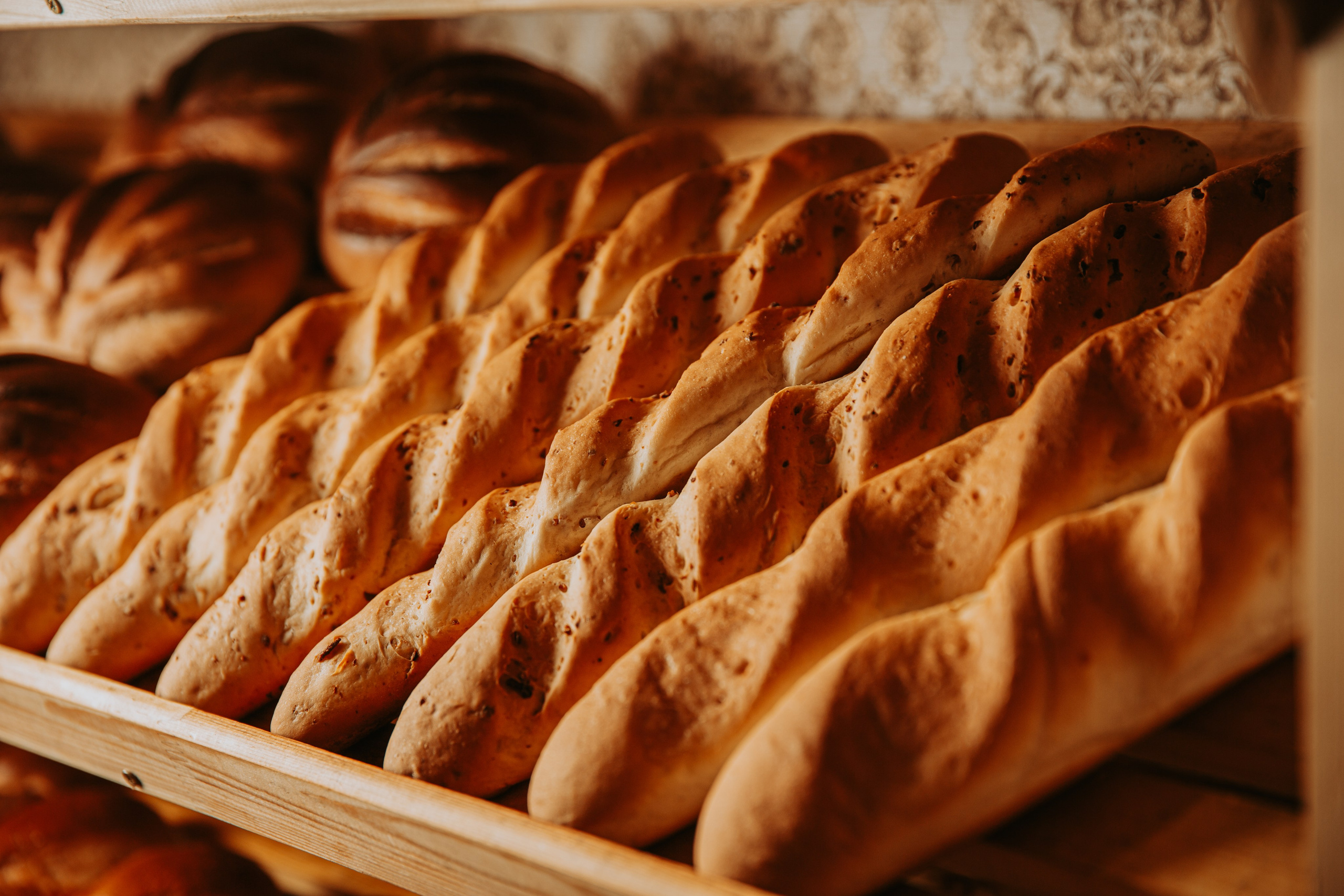 Пекарня Семейная. Свадебный и репортажный фотограф в Ярославле Евгений Шовдин