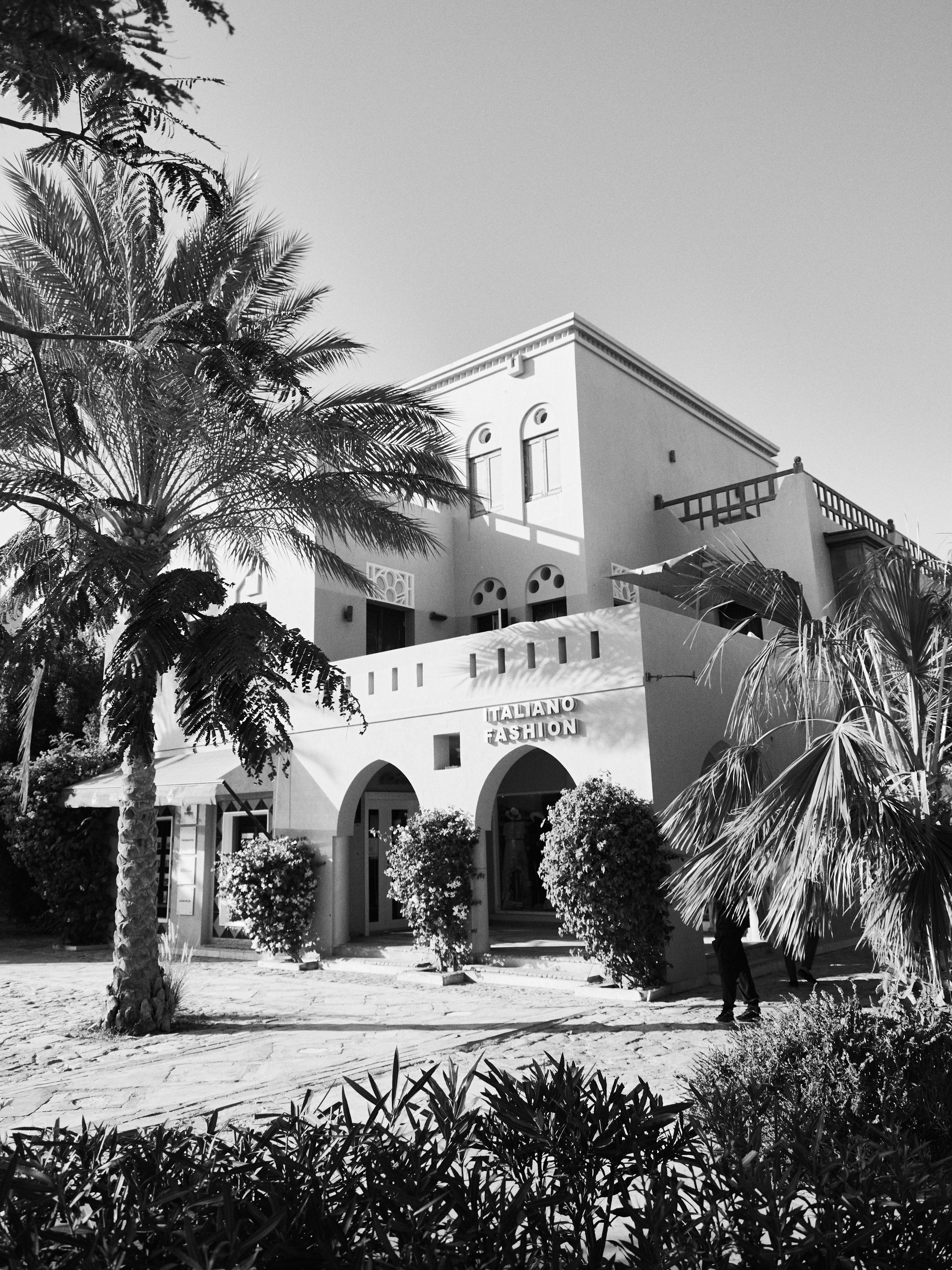 Другое 3. Jorgis — фотограф в Хургаде / обучение фотографии