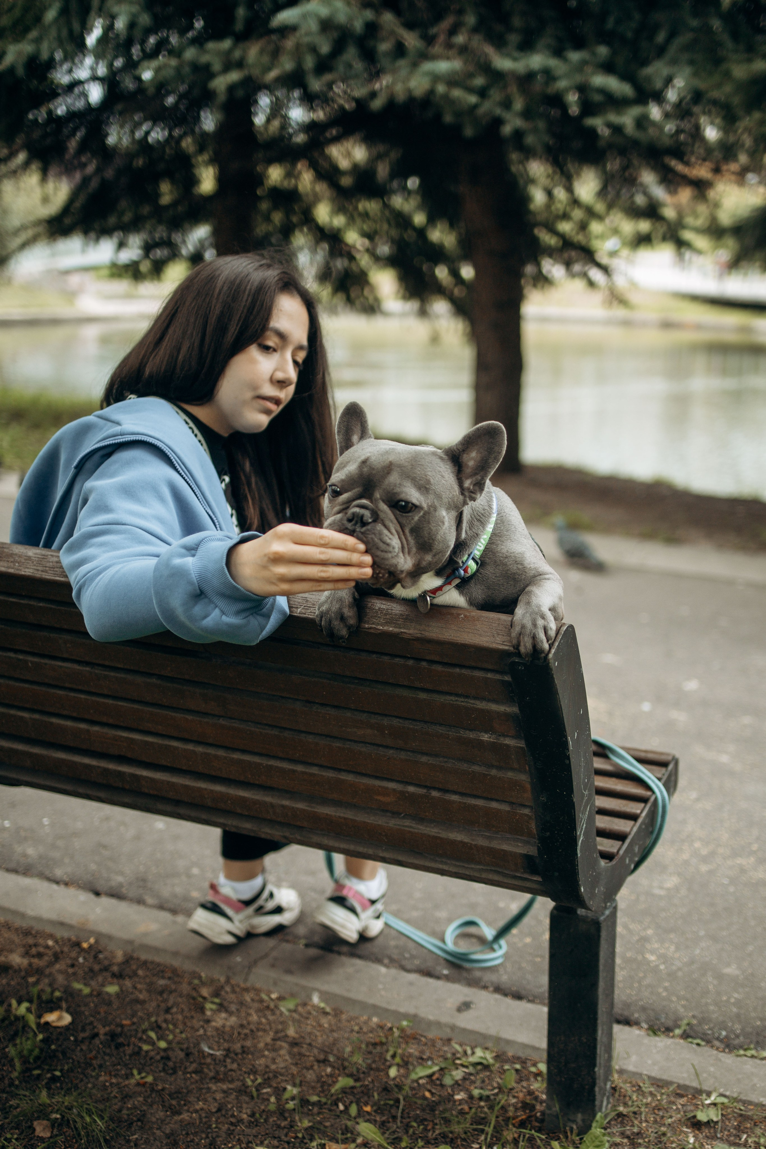 Грей и его семья