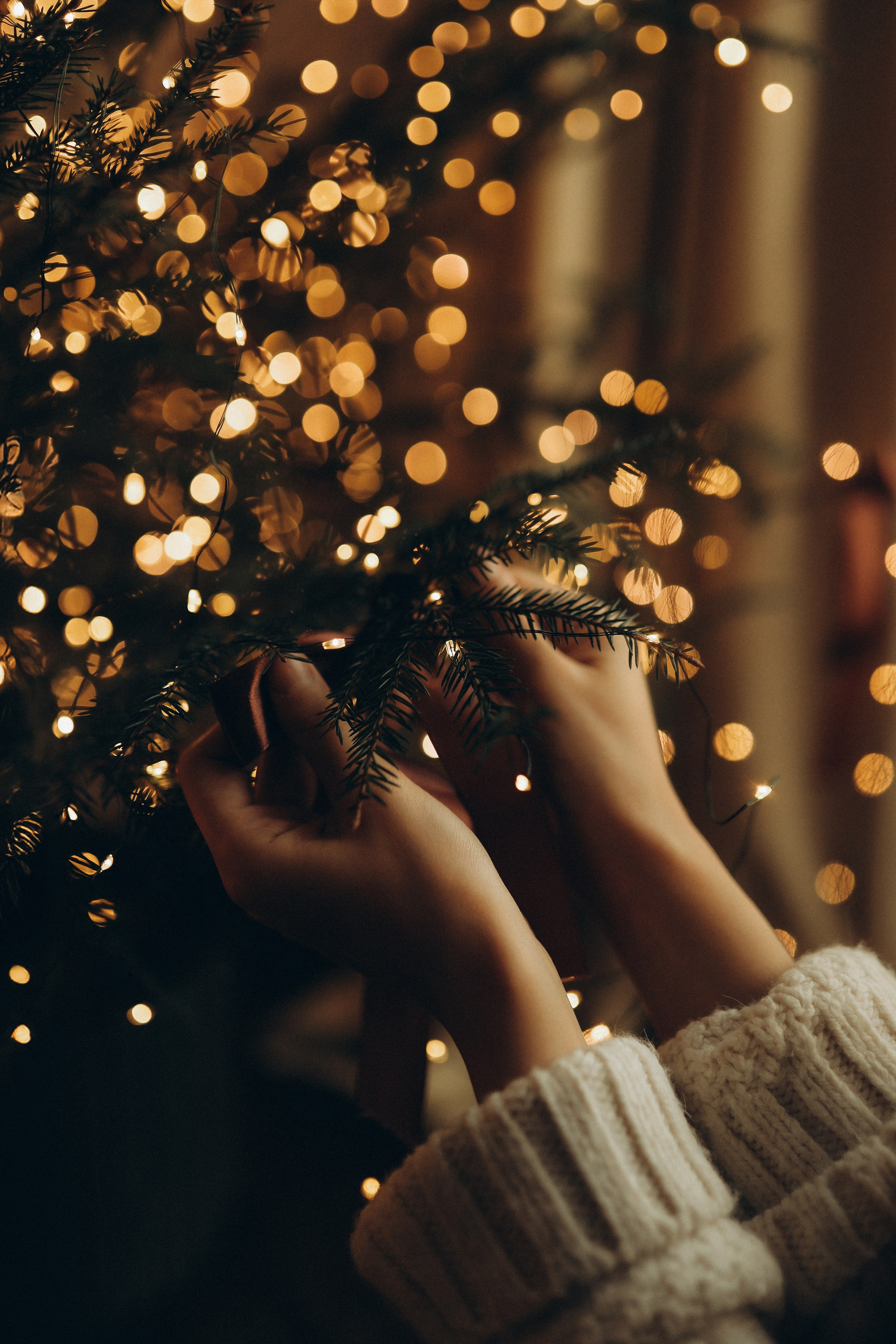 Новогоднее настроение. Семейный и детский фотограф в Москве Анастасия Меликова