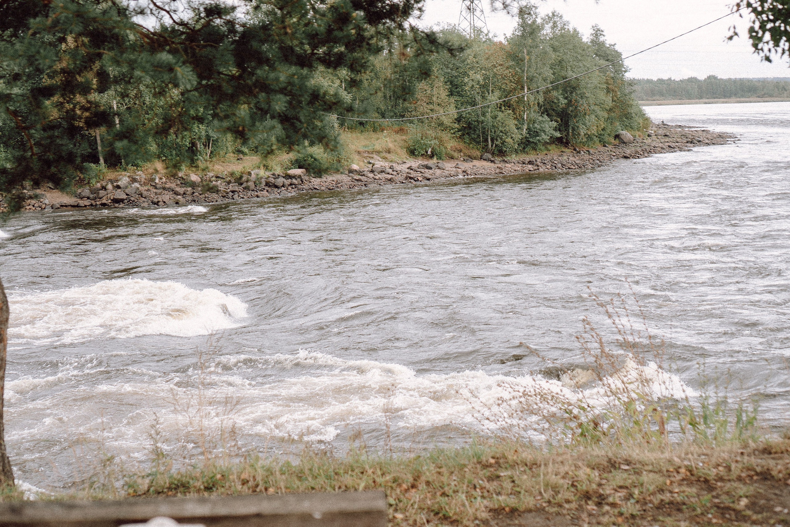 СВАДЕБНАЯ ФОТОСЕССИИЯ ПАРЫ В ГОРОДЕ ПРИОЗЕРСК В СОСНОВОМ ЛЕСУ И С ПИКАПОМ. Профессиональный фотограф, Санкт-Петербург — Виктория Богомолова