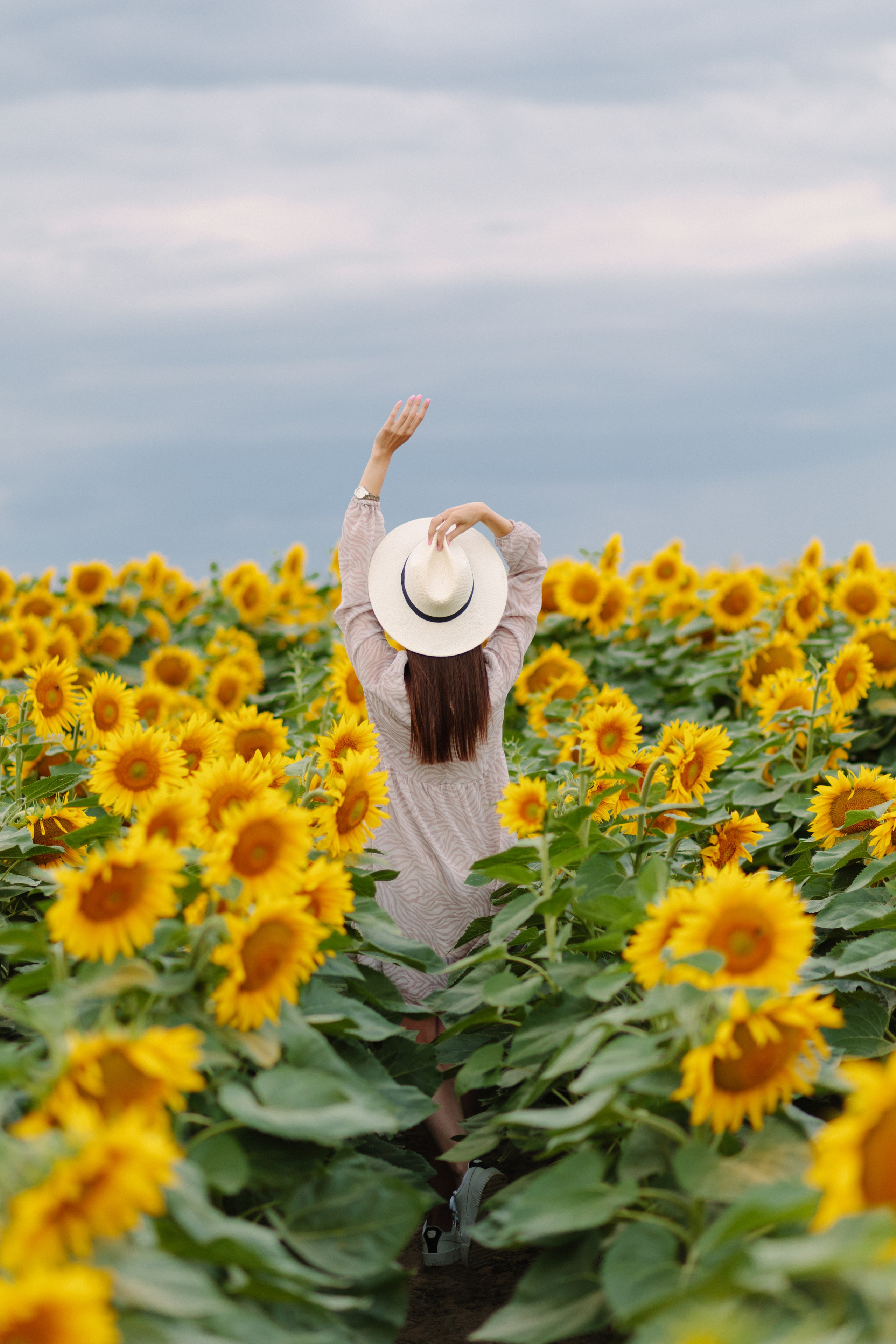 Подсолнухи. Dima Lemeshevsky