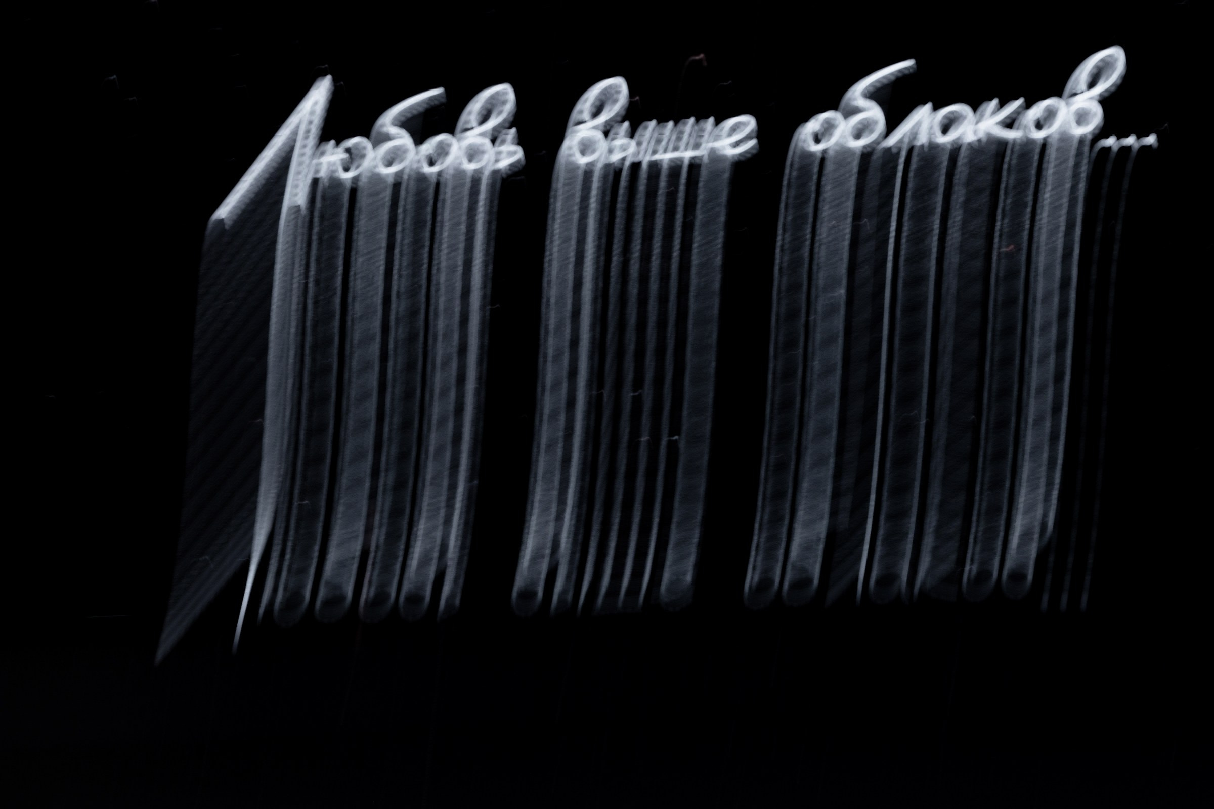 Свадьба пес и котики. Dima Lemeshevsky