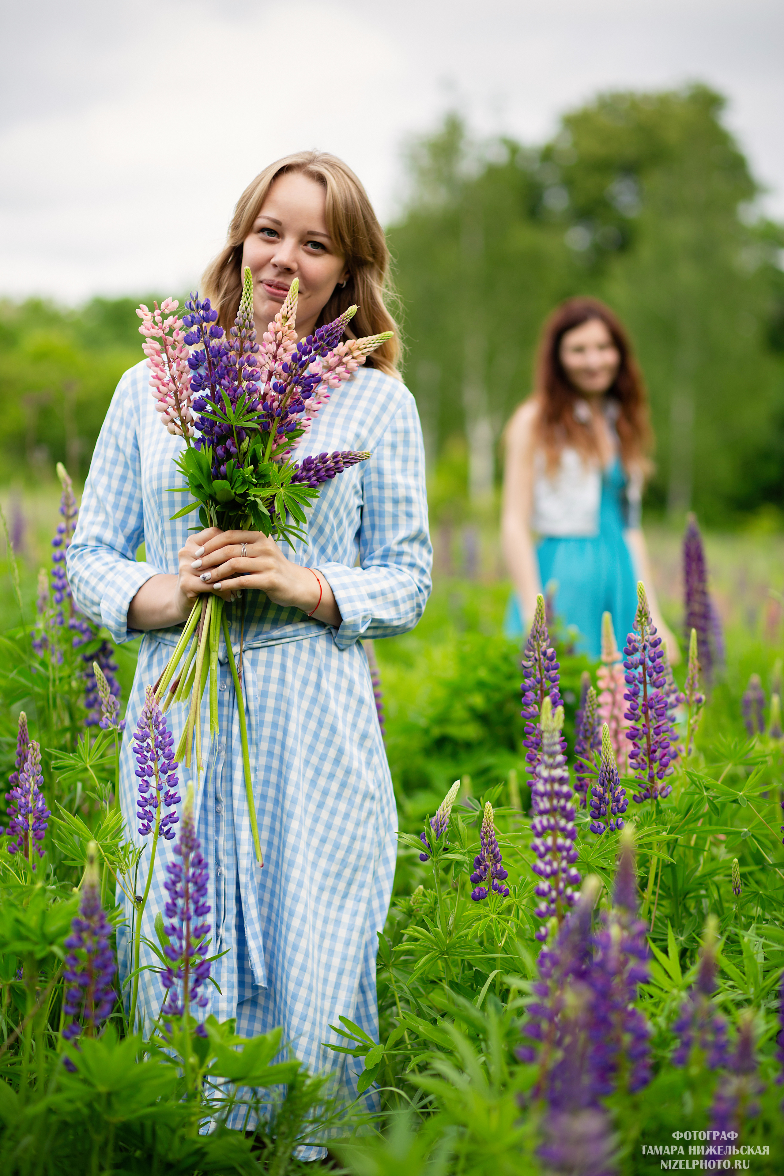 девушки  собирают люпины  в поле