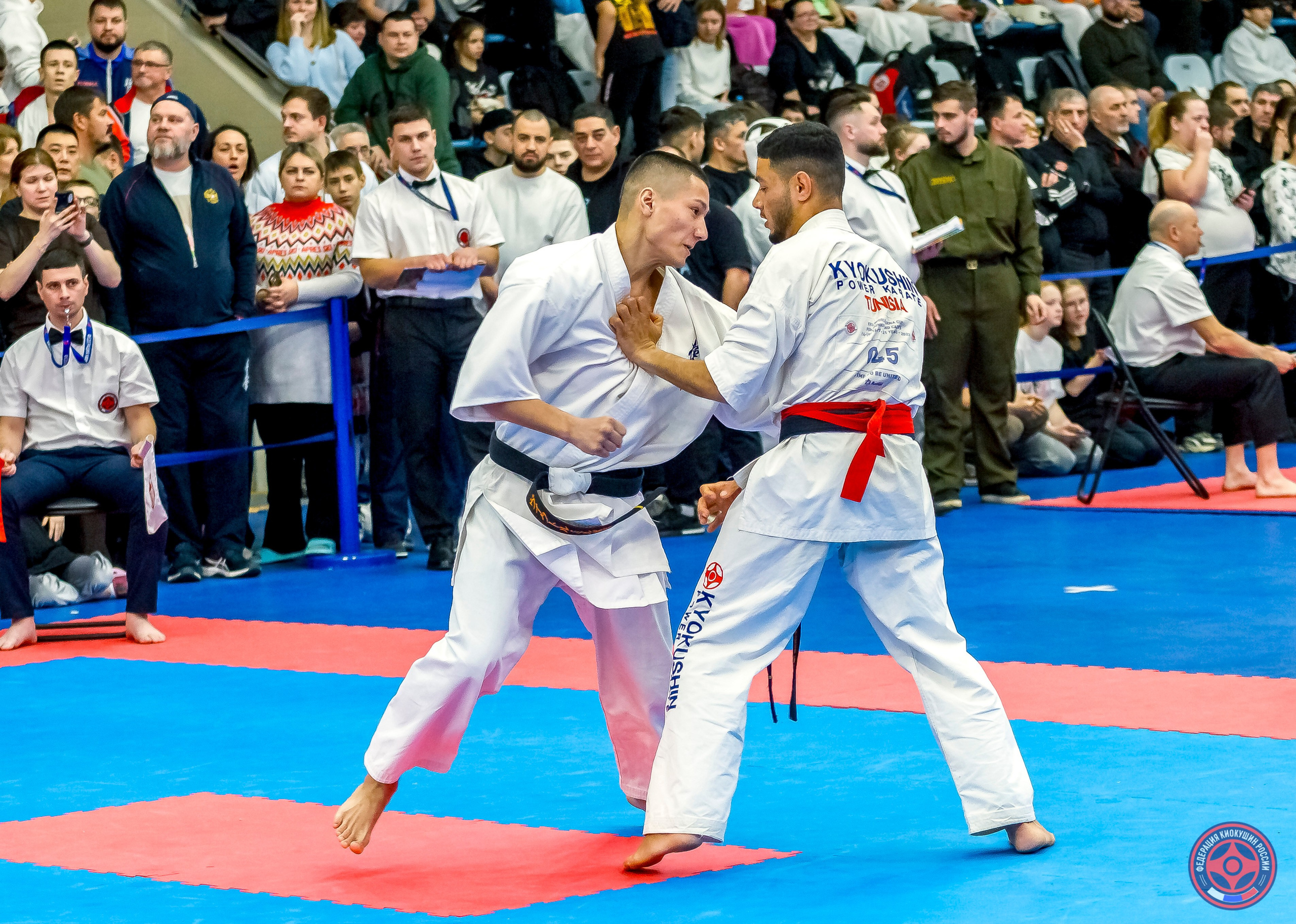 Международный турнир по киокушин «Открытый кубок Seiken». Репортажная съемка в Москве и области. Анималистика
