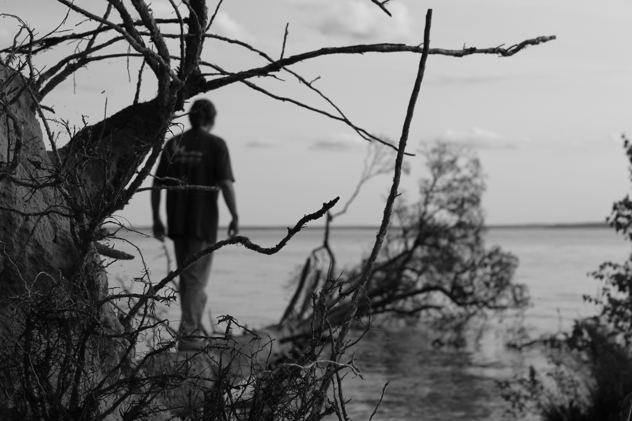 Портфолио. Фотограф Алла Добровицина